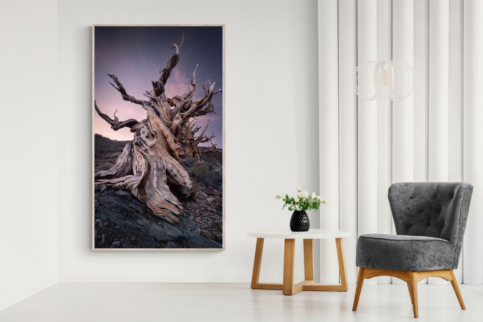 Pixalot Eternal Grain