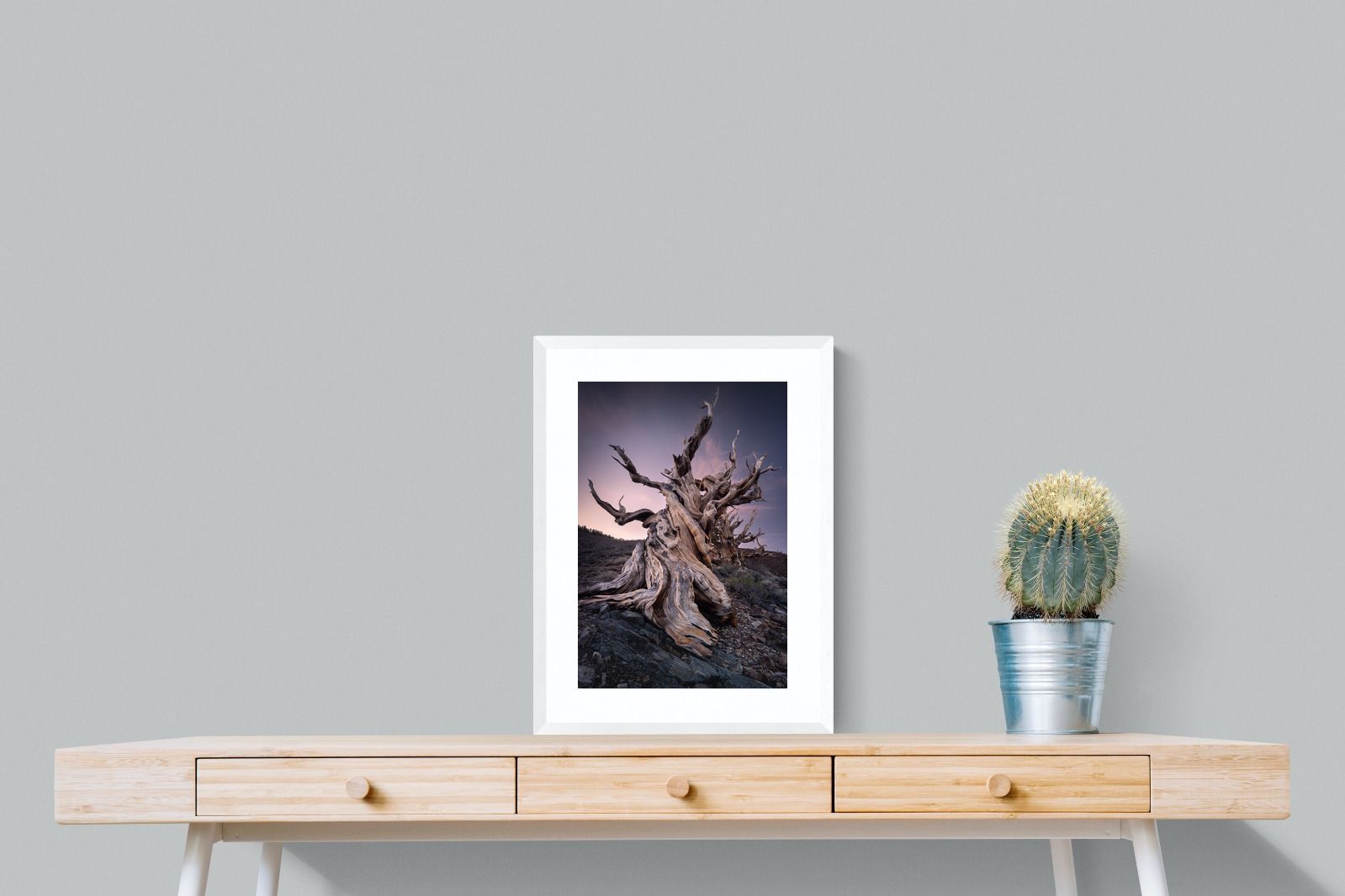 Pixalot Eternal Grain