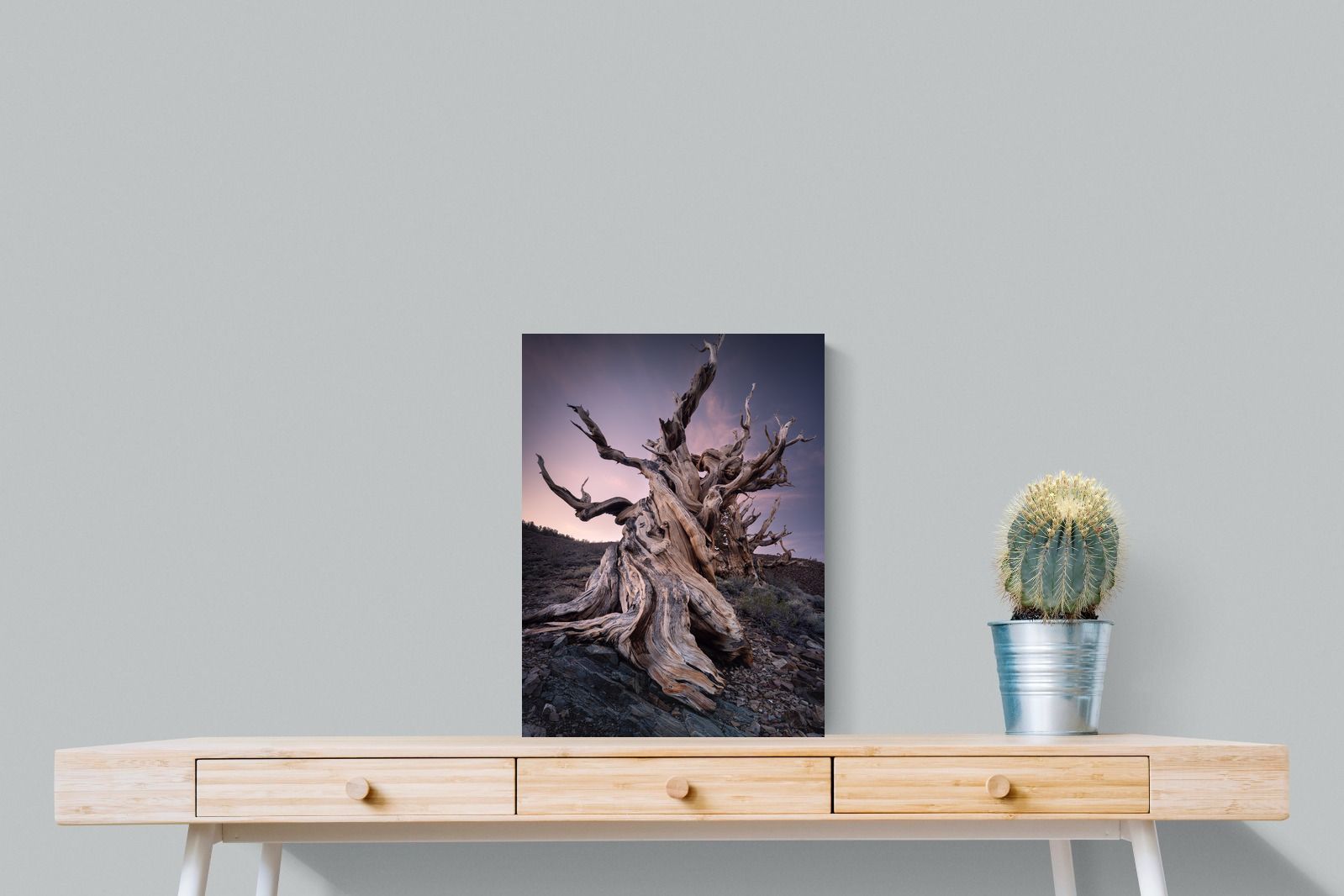 Pixalot Eternal Grain