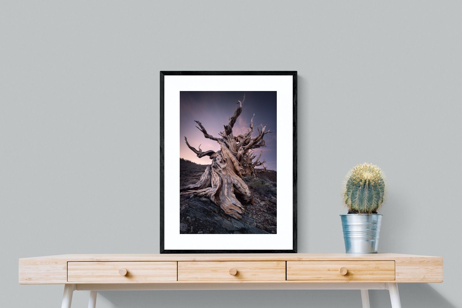 Pixalot Eternal Grain