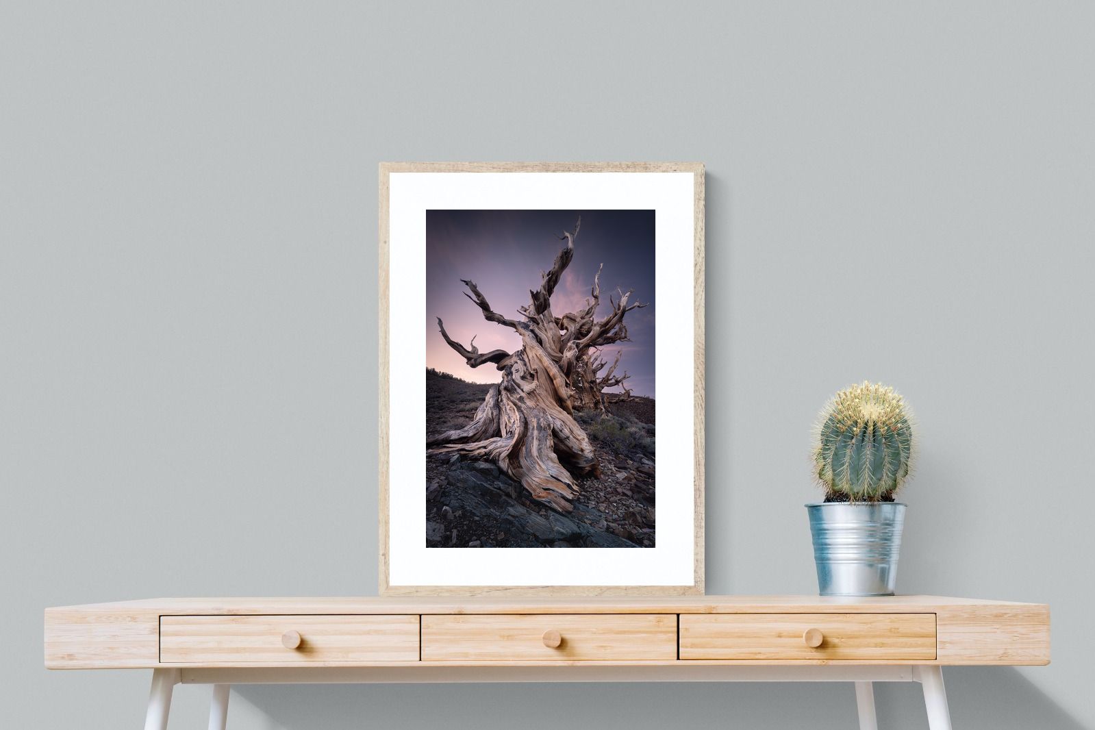 Pixalot Eternal Grain