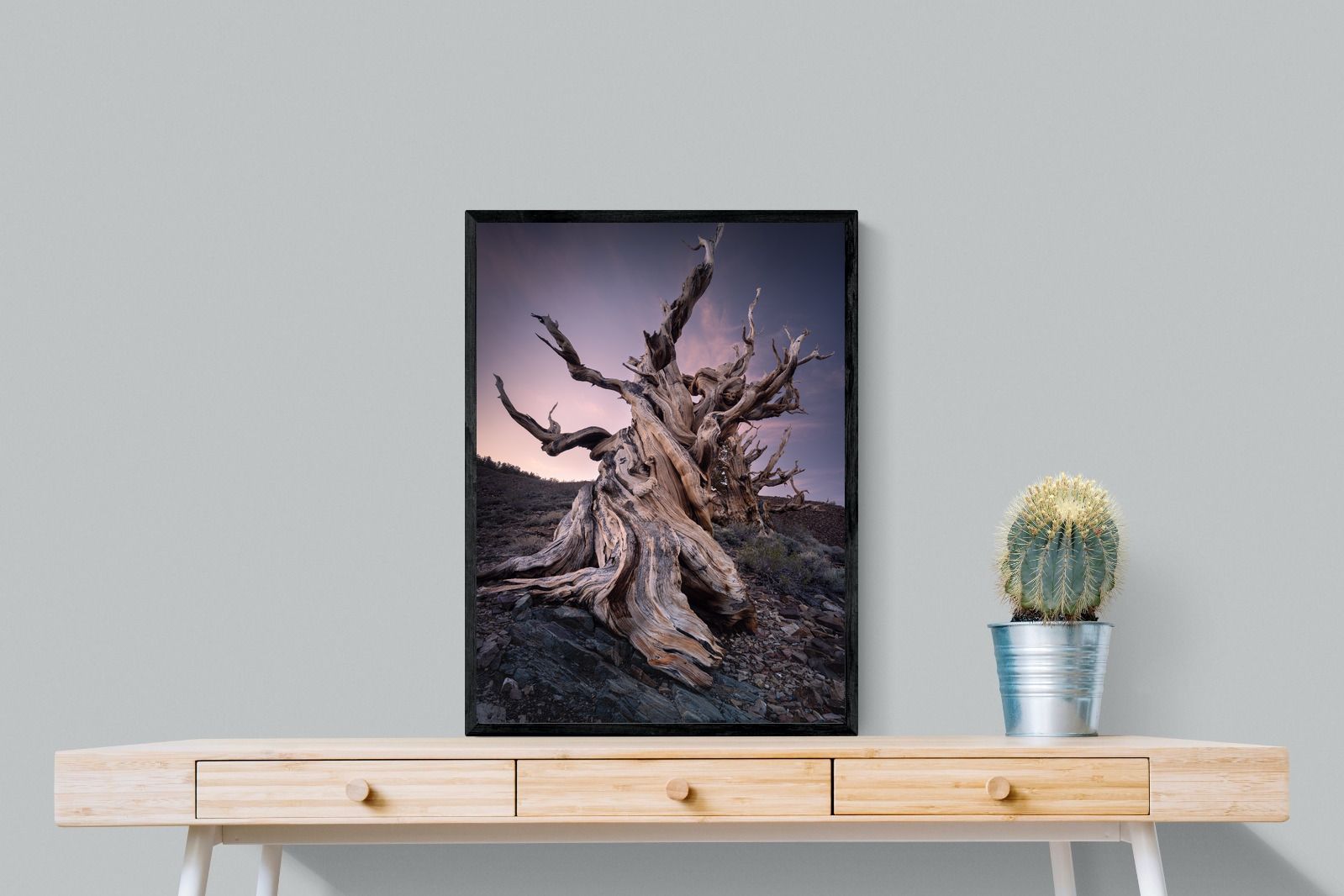 Pixalot Eternal Grain