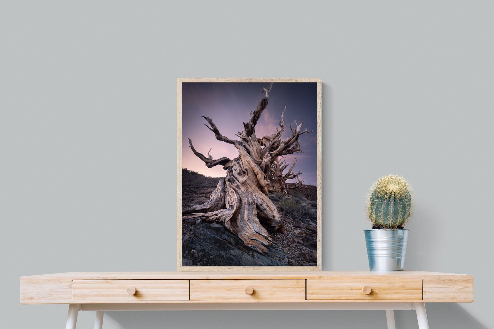 Pixalot Eternal Grain