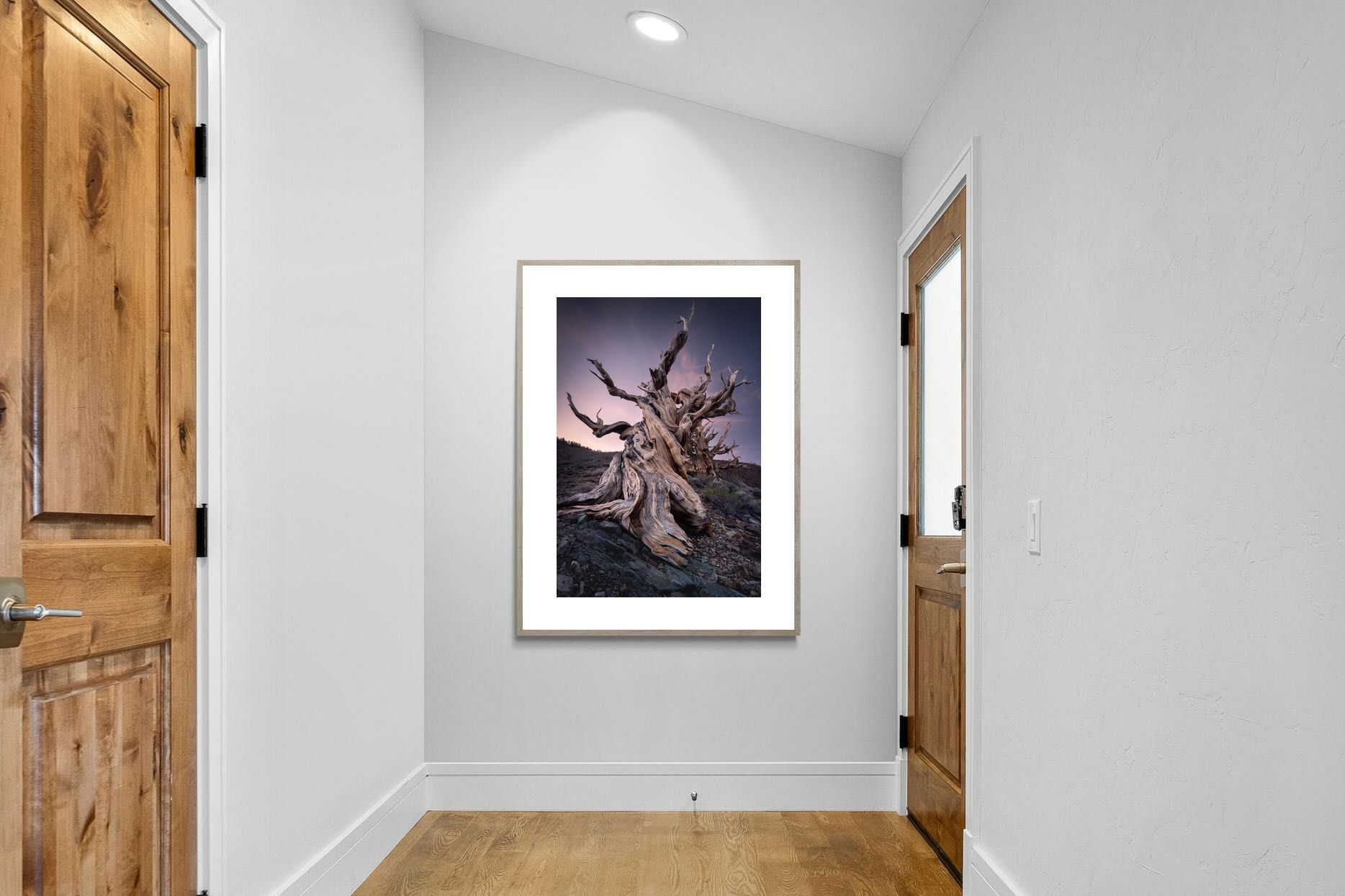 Pixalot Eternal Grain