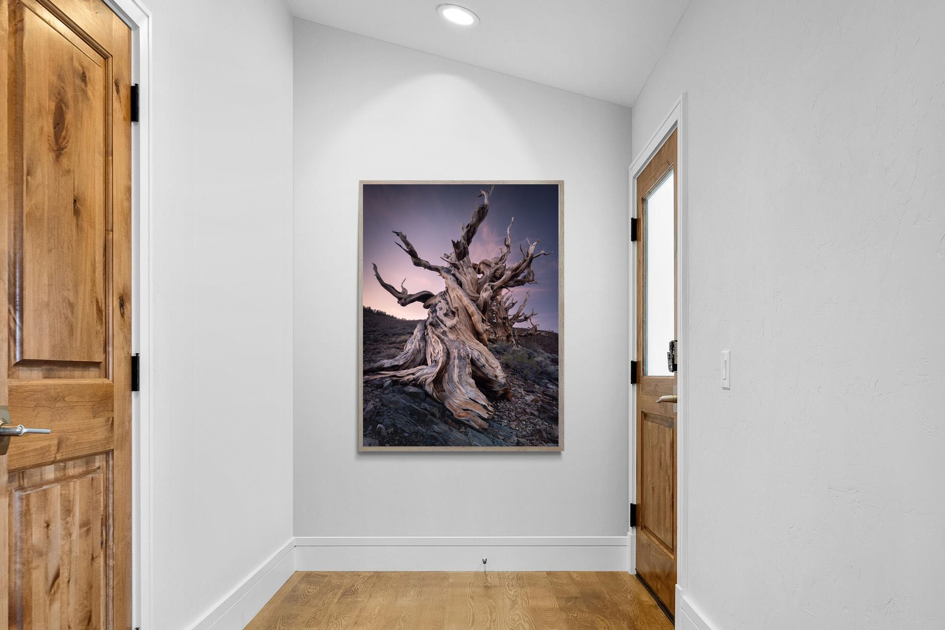 Pixalot Eternal Grain