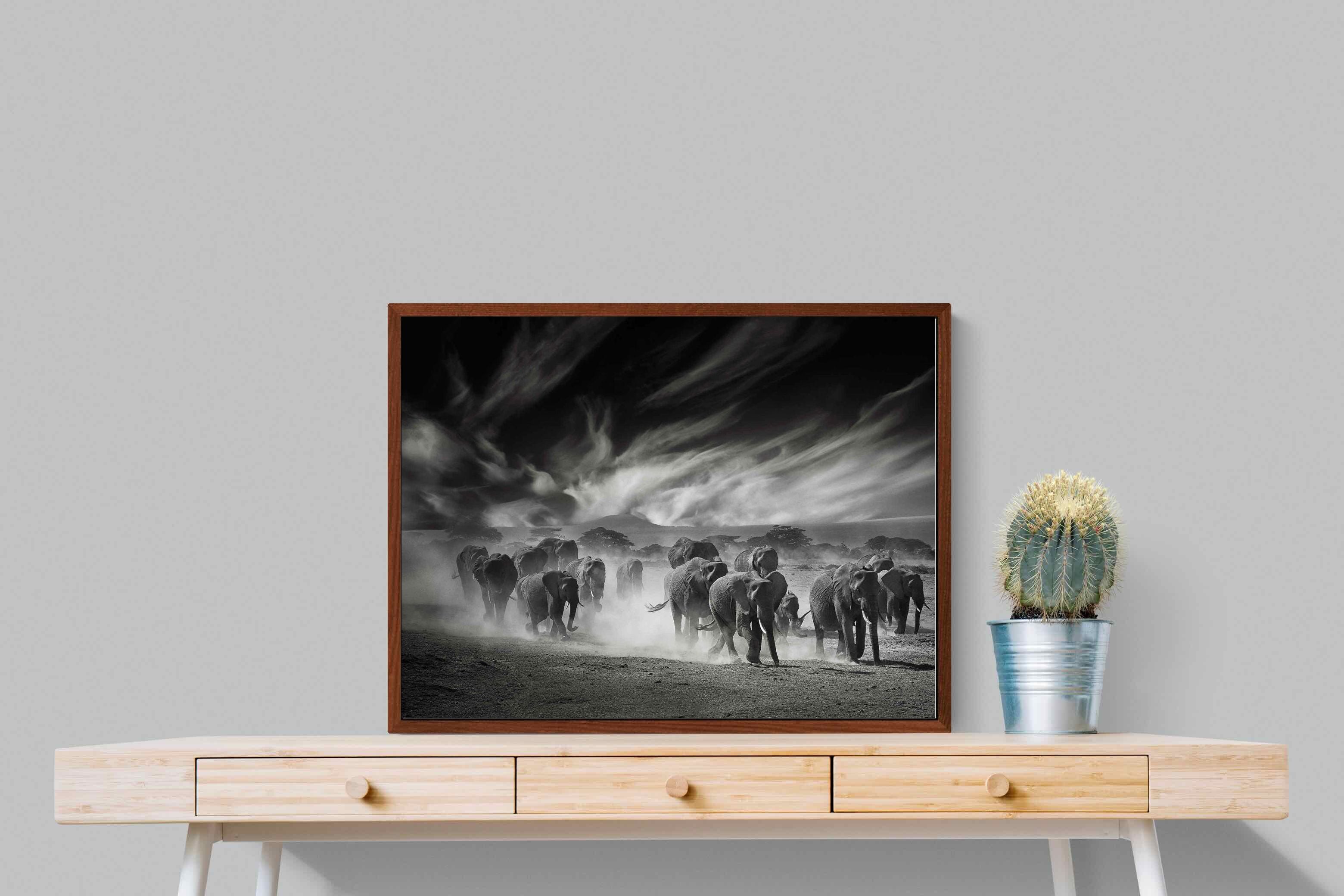 Pixalot ® Etosha Elephants