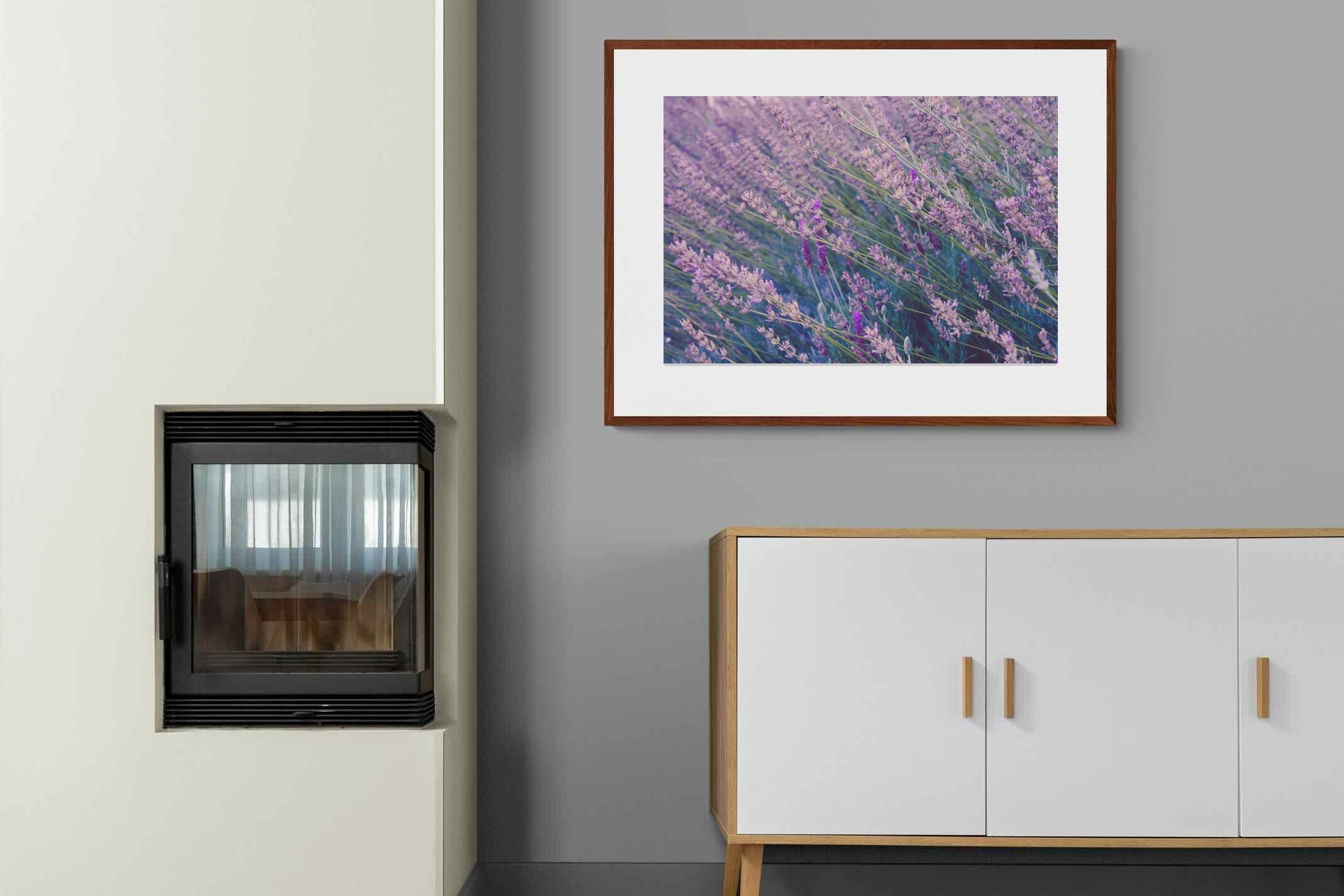 Pixalot ® Fields of Lavender