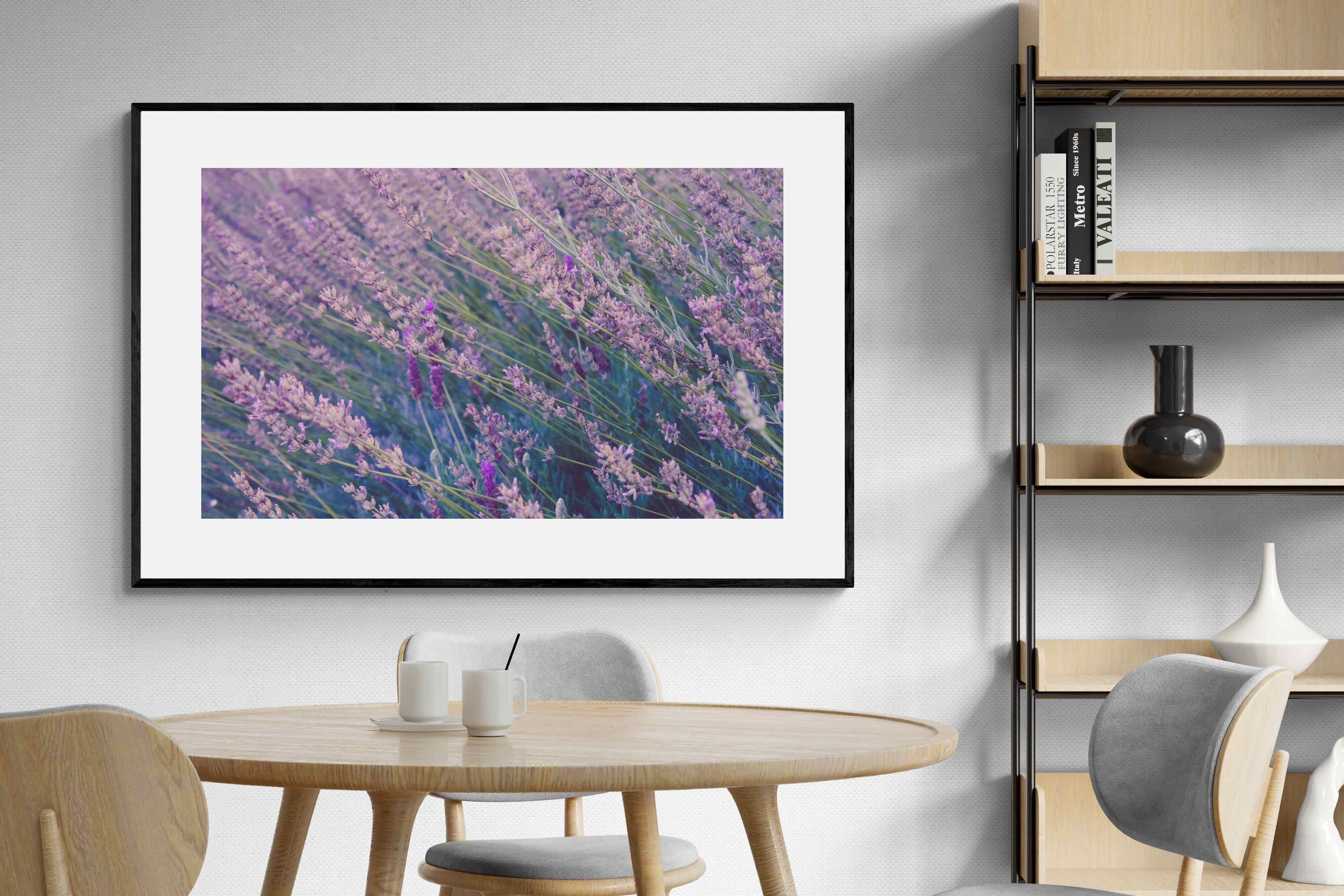 Pixalot Fields of Lavender