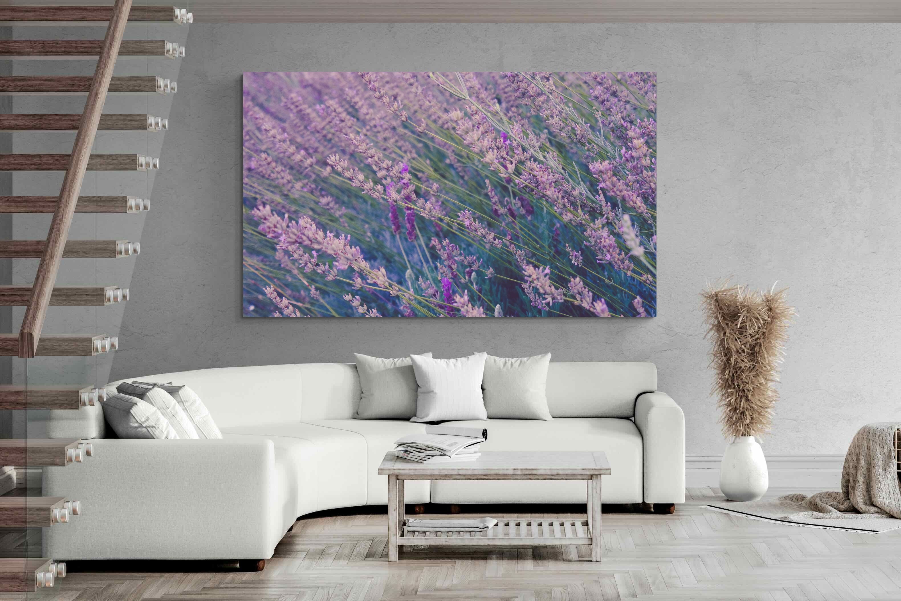 Pixalot Fields of Lavender