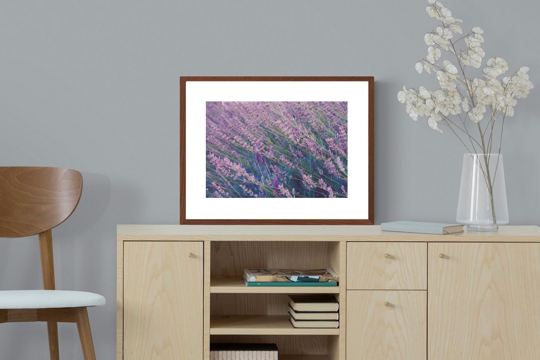 Pixalot ® Fields of Lavender