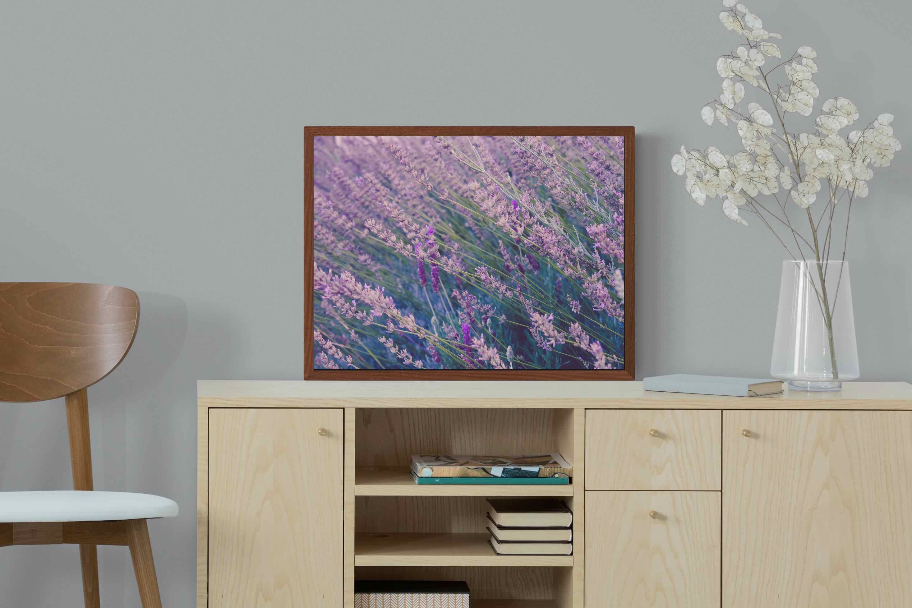 Pixalot ® Fields of Lavender