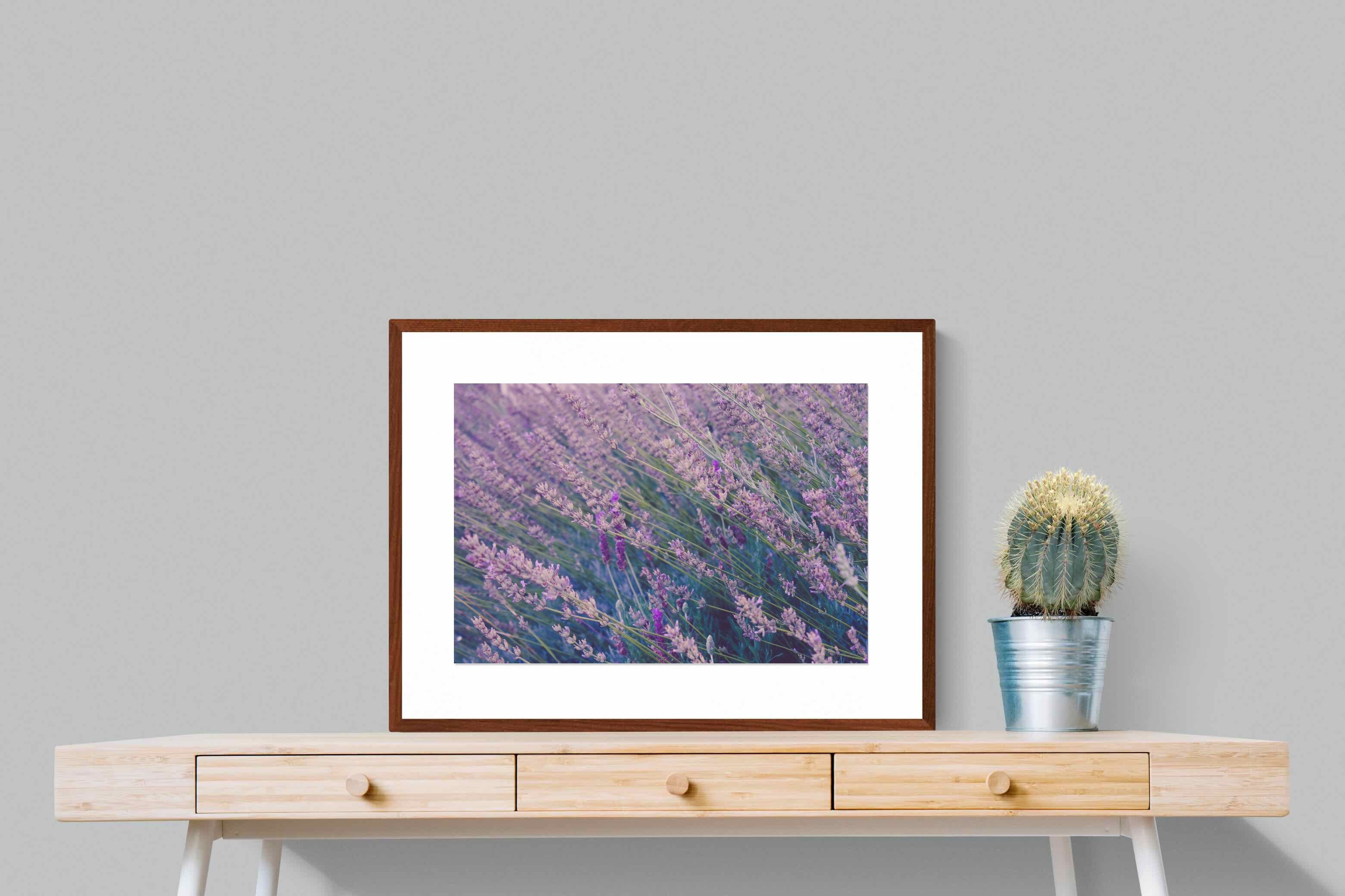 Pixalot ® Fields of Lavender