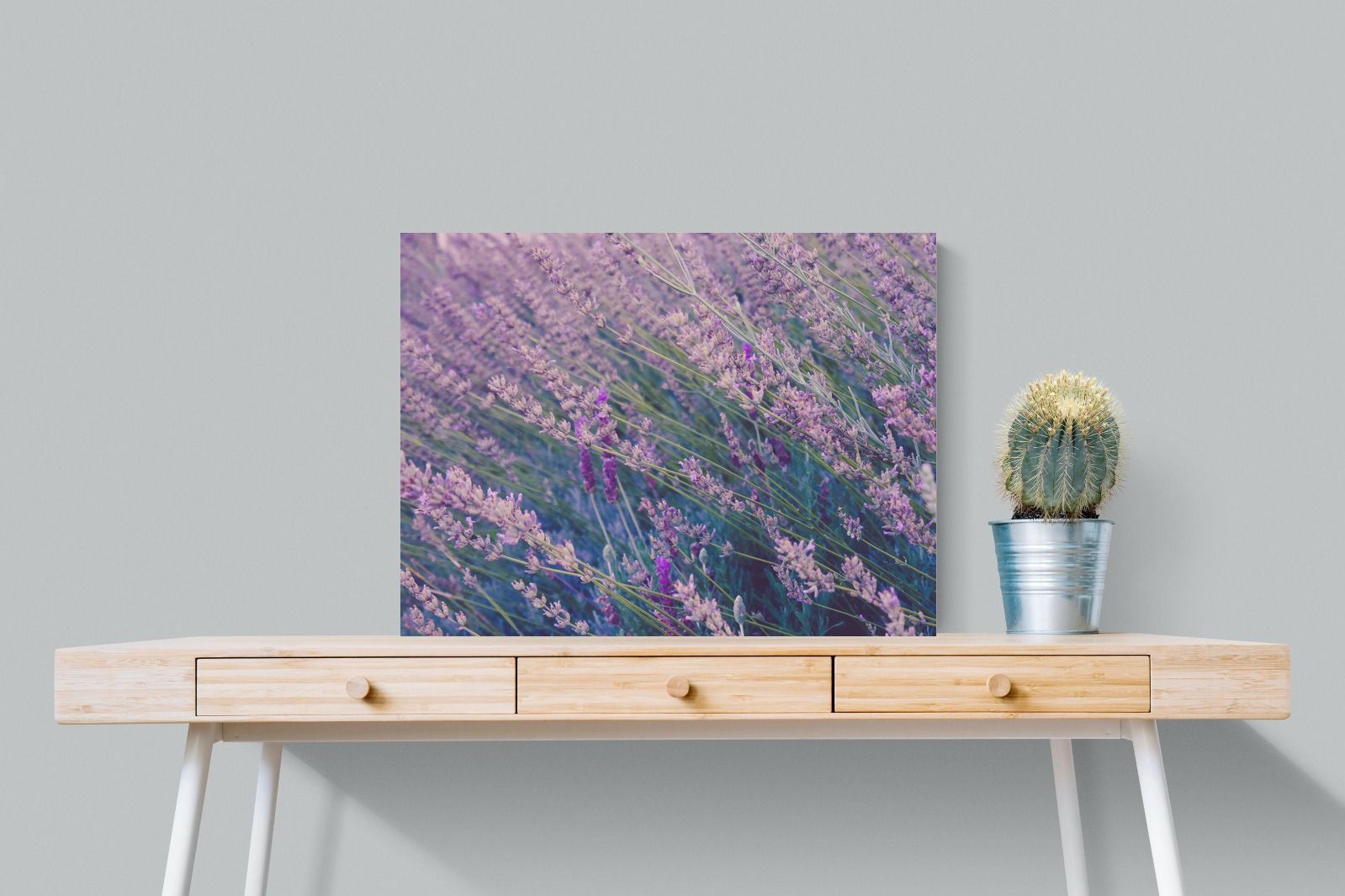 Pixalot Fields of Lavender