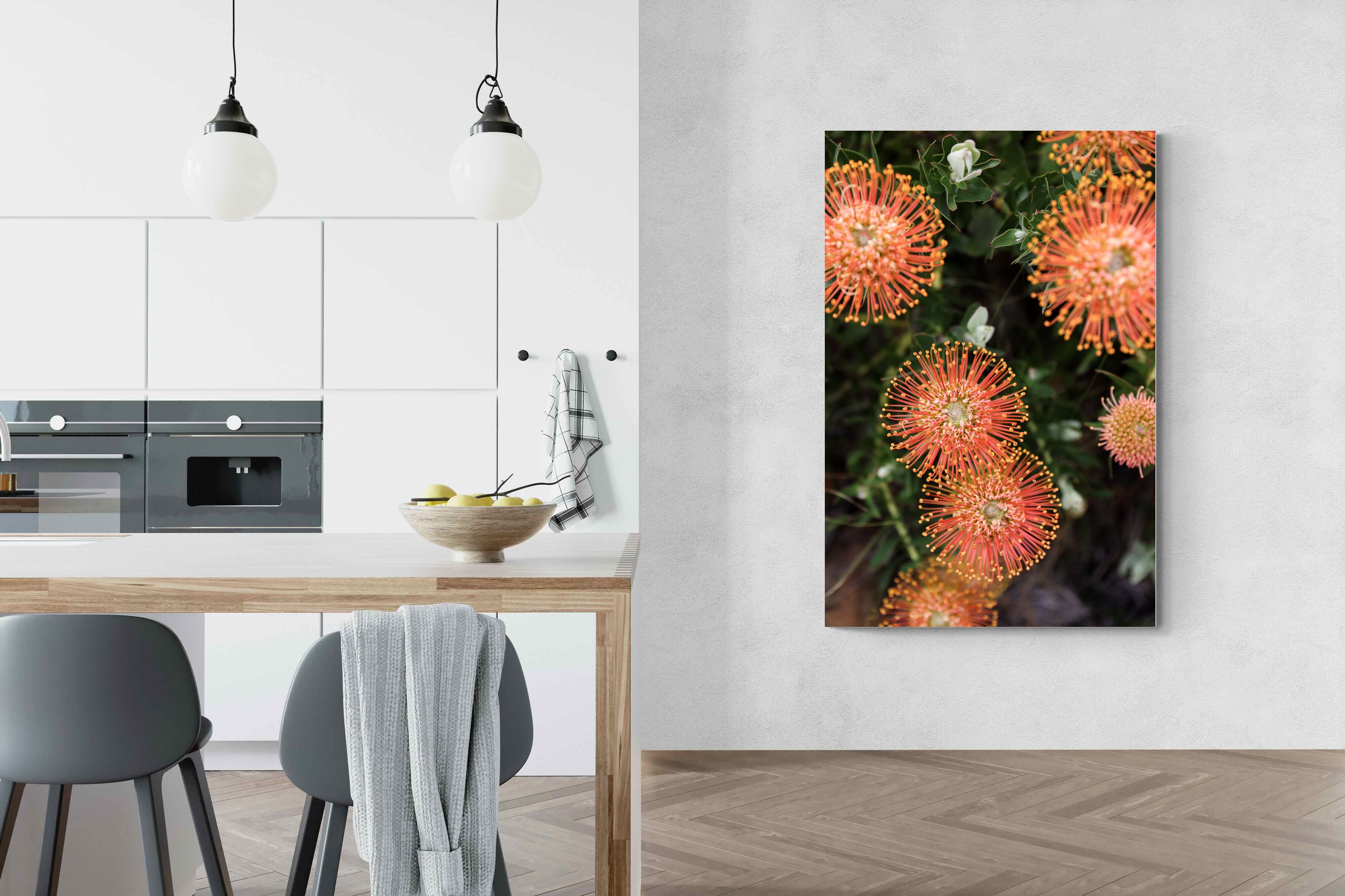 Pixalot Flame Flowers