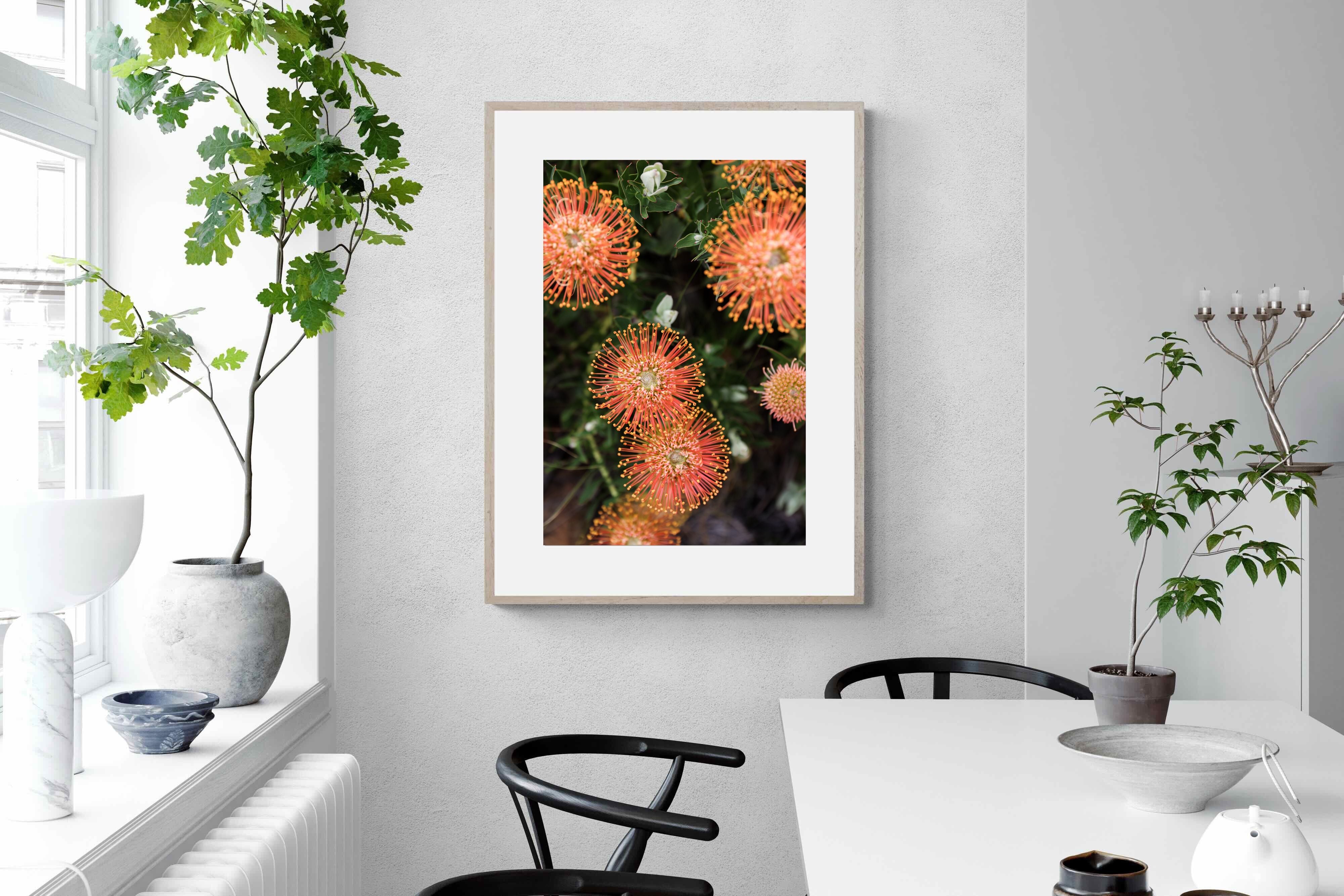 Pixalot Flame Flowers