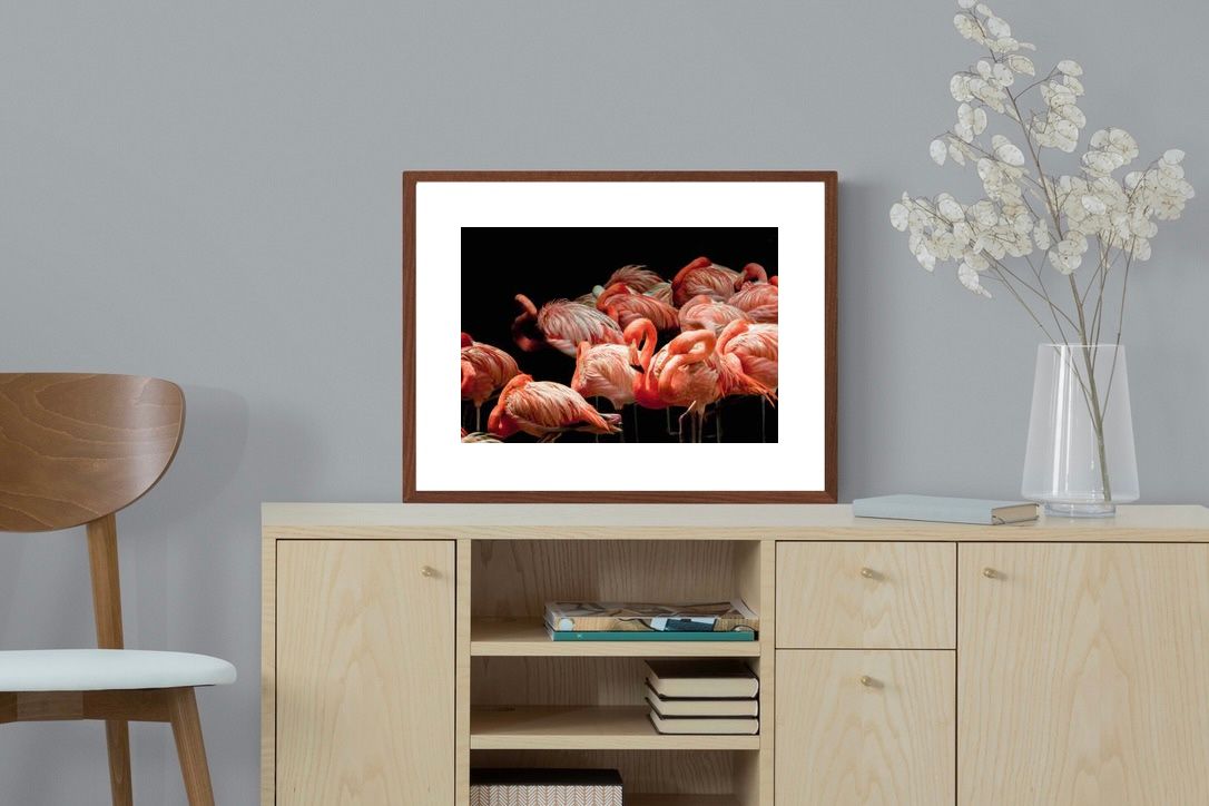 Pixalot ® Flamingo Flock