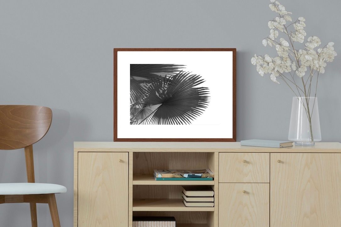 Pixalot ® Frond