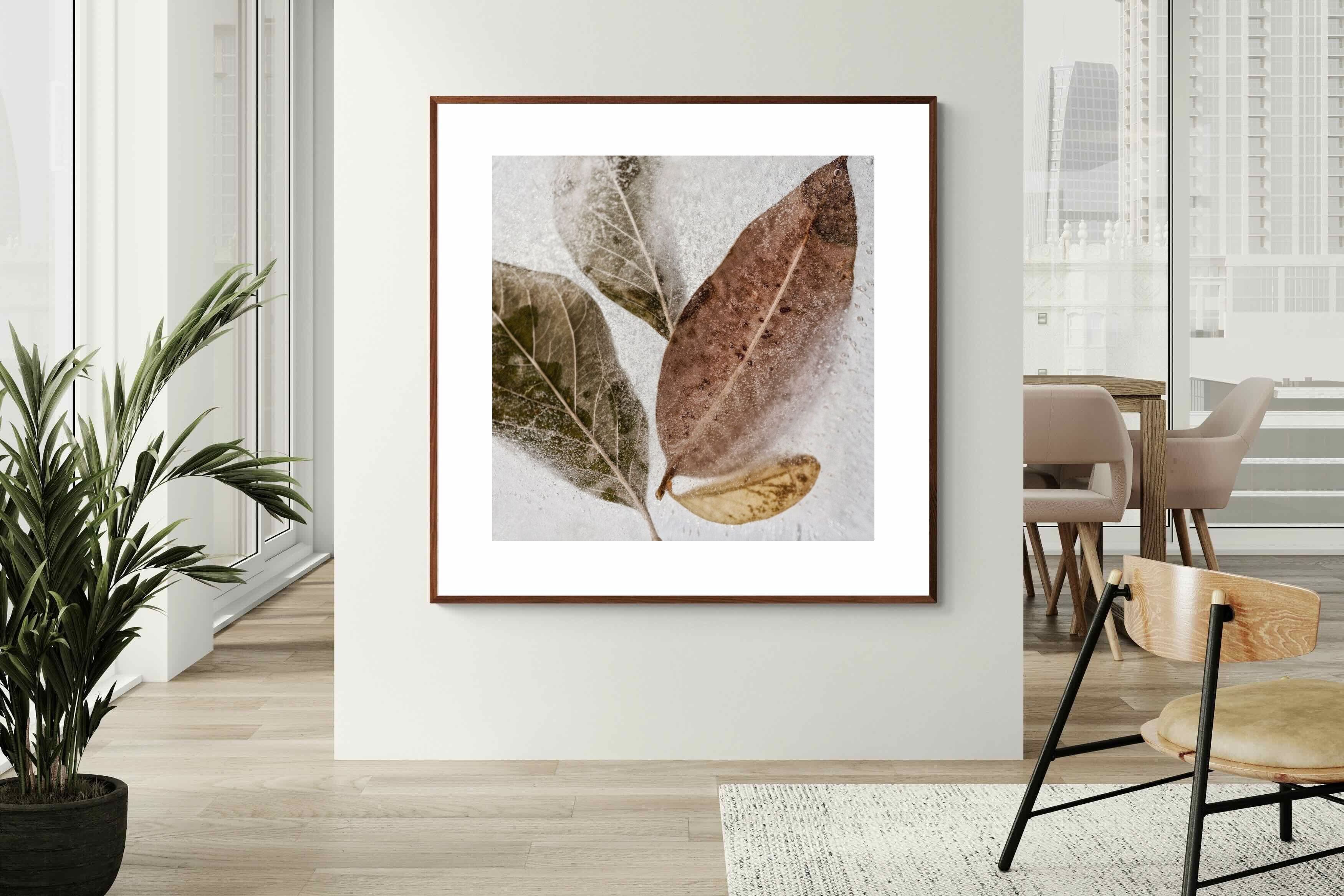 Pixalot Frozen Leaves