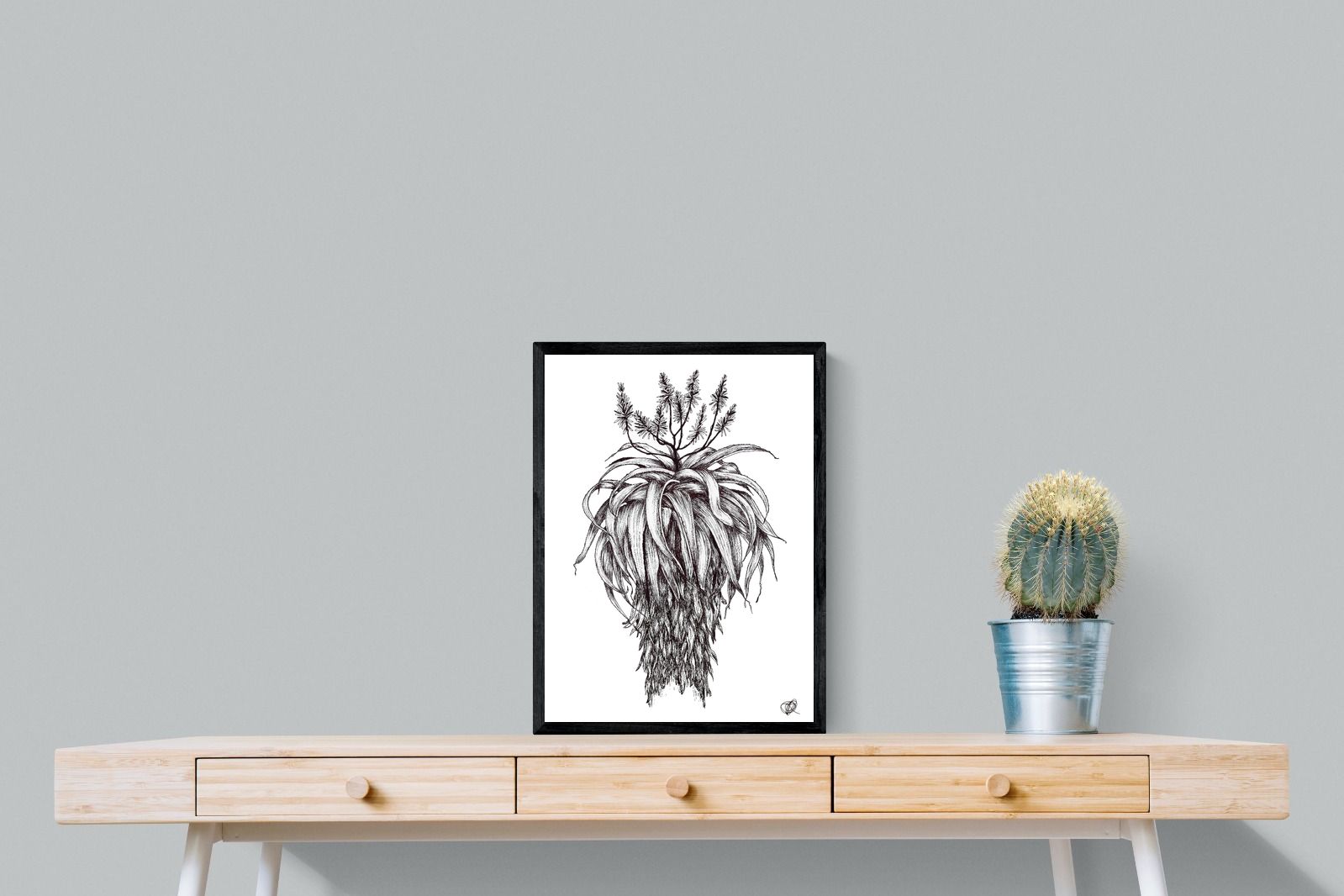 Pixalot Full Flowering Aloe Illustration