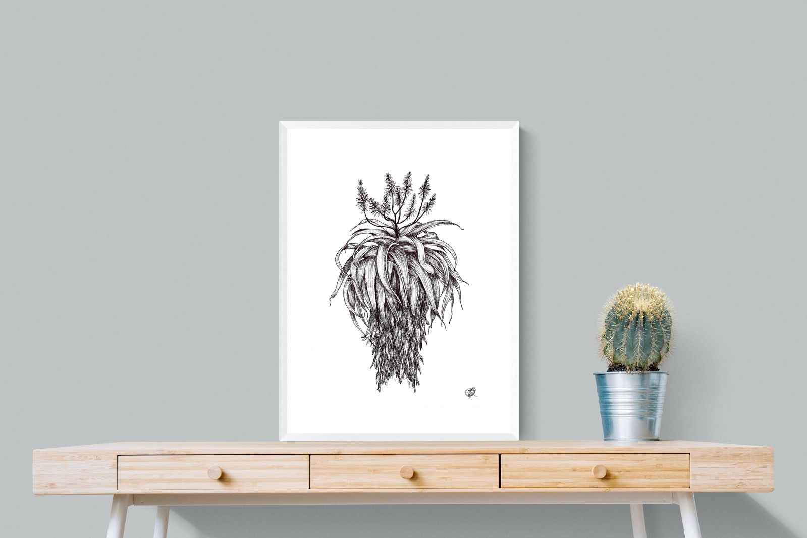 Pixalot Full Flowering Aloe Illustration