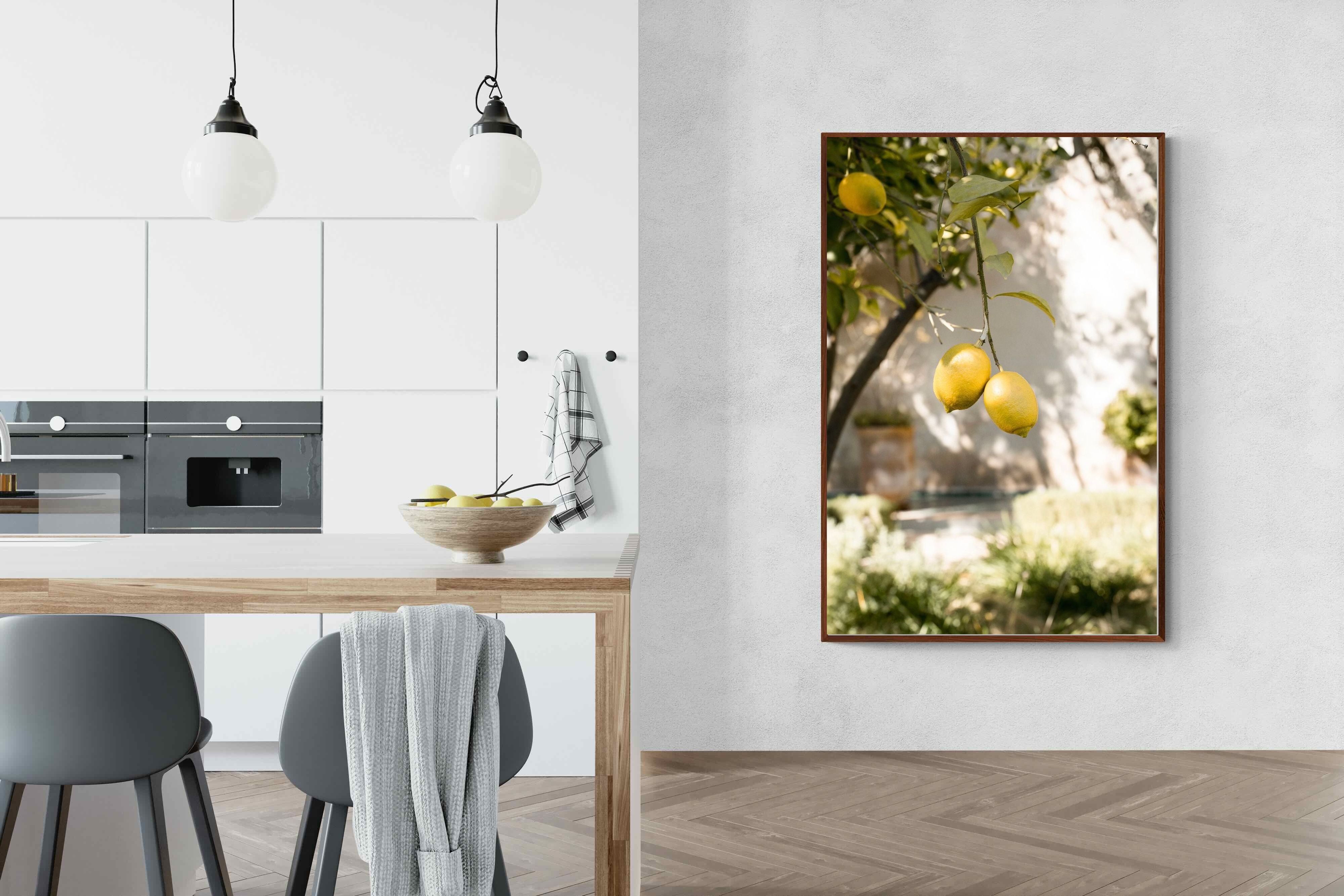 Pixalot Garden Lemons