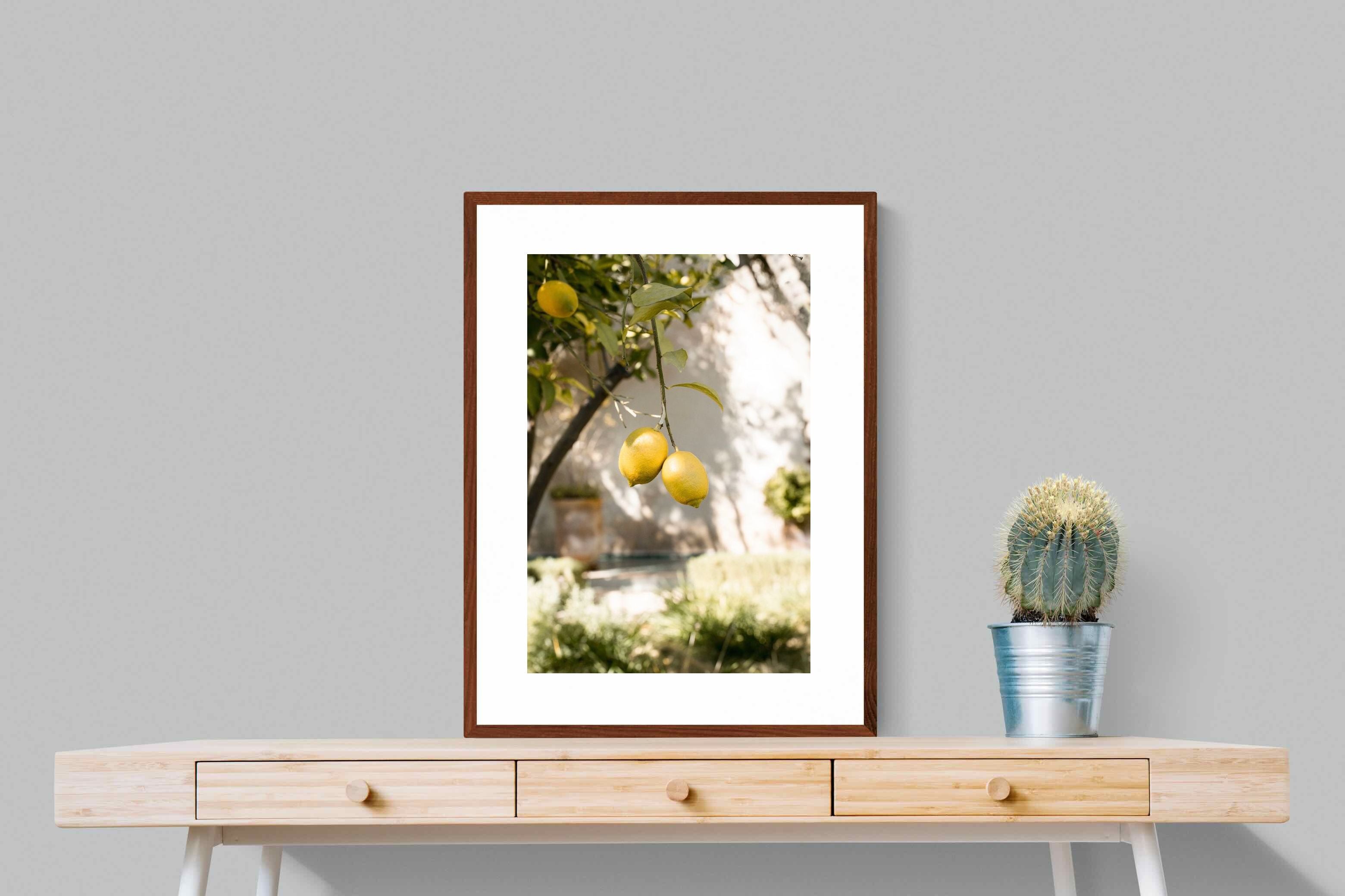 Pixalot Garden Lemons