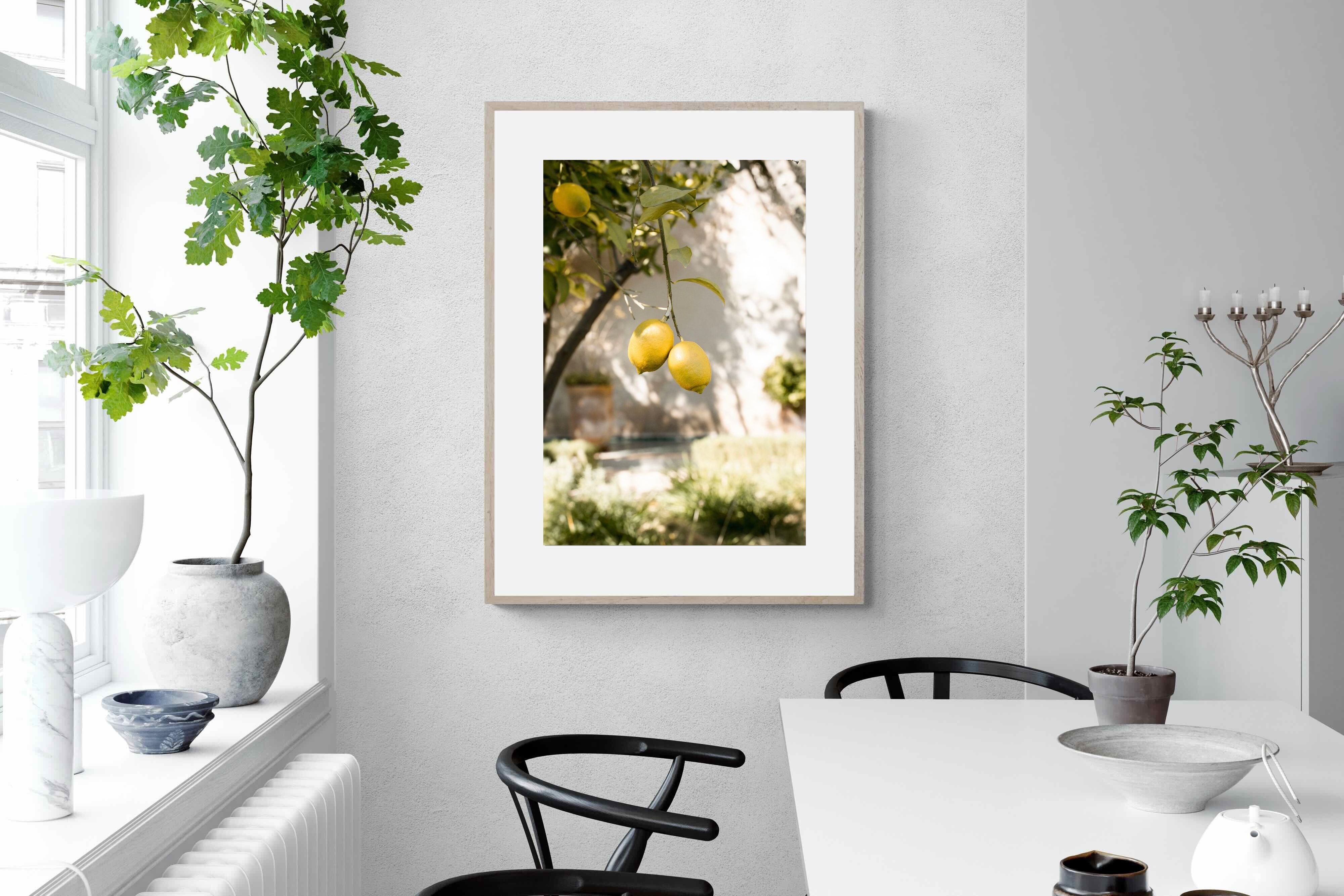 Pixalot Garden Lemons