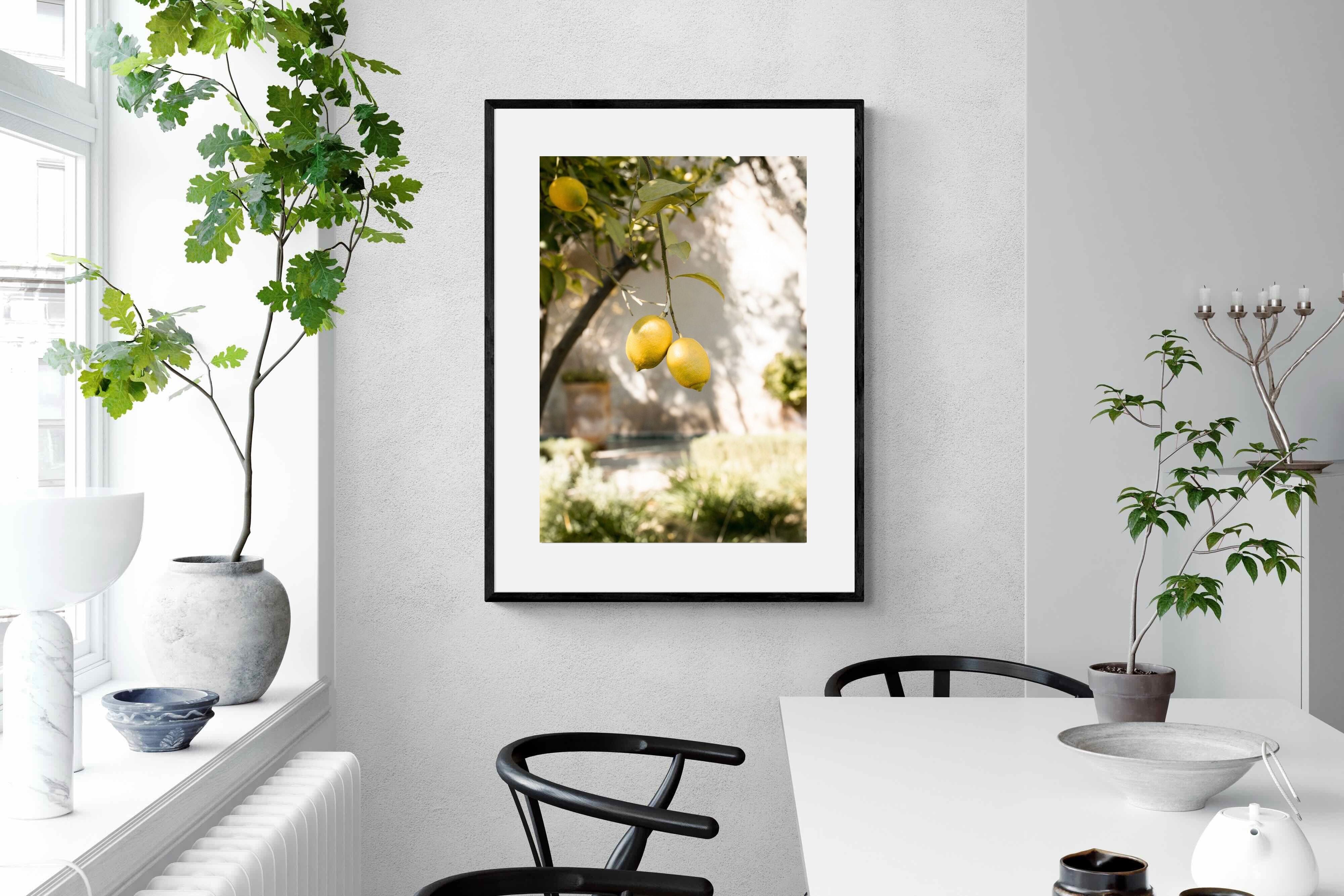 Pixalot Garden Lemons