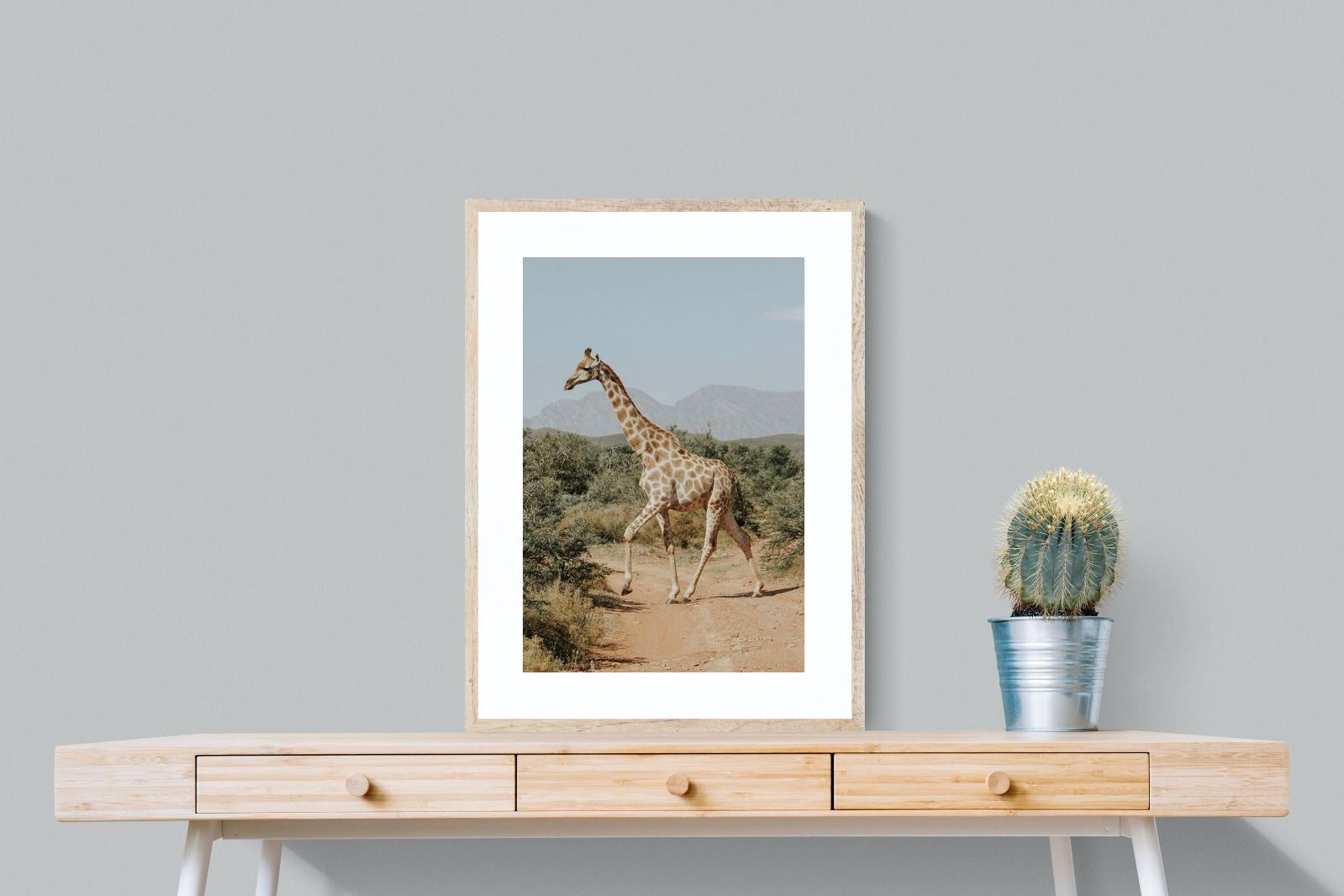 Pixalot Giraffe Crossing