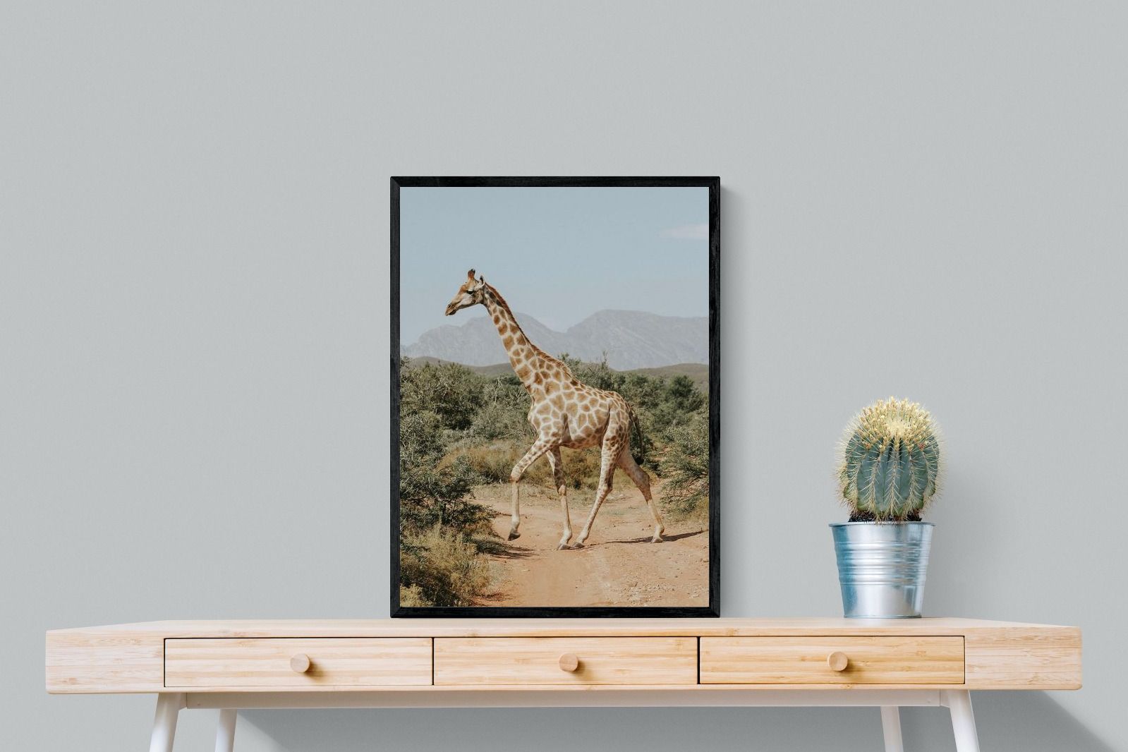 Pixalot Giraffe Crossing