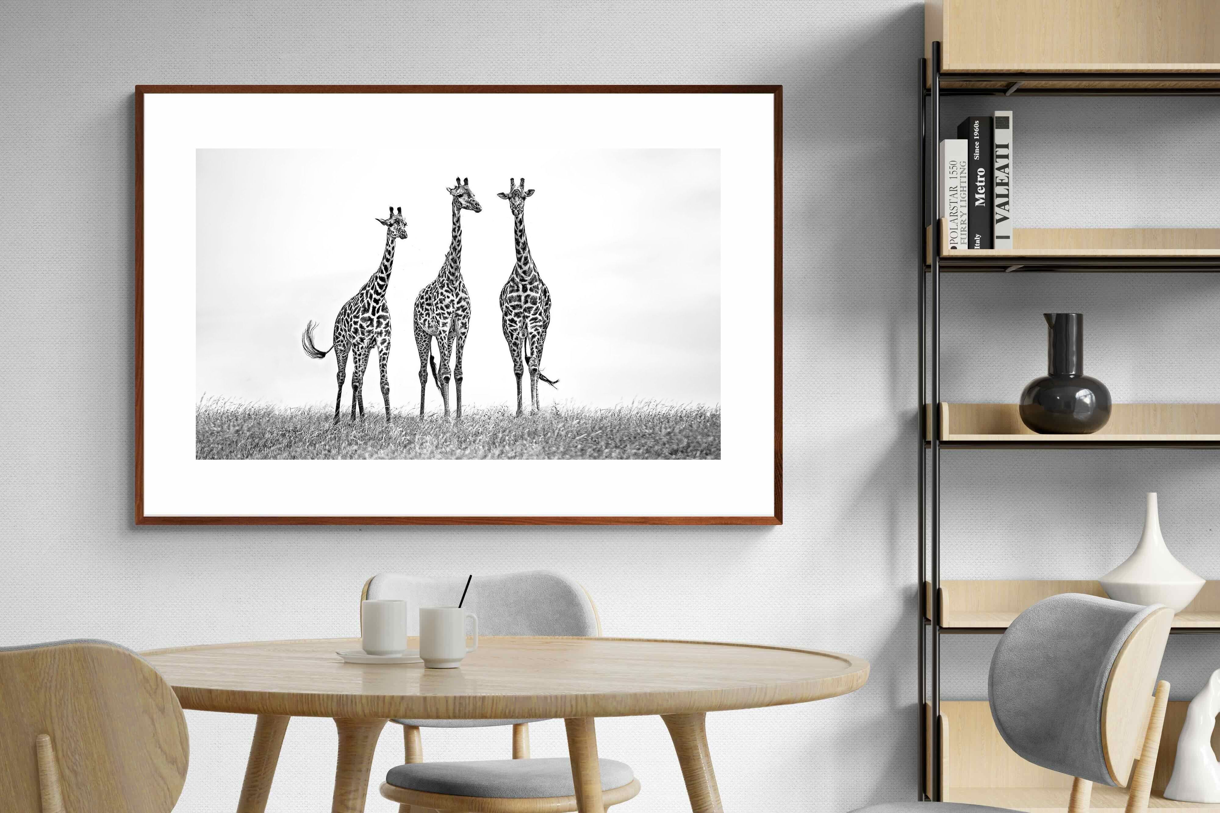 Pixalot ® Giraffe Sketch