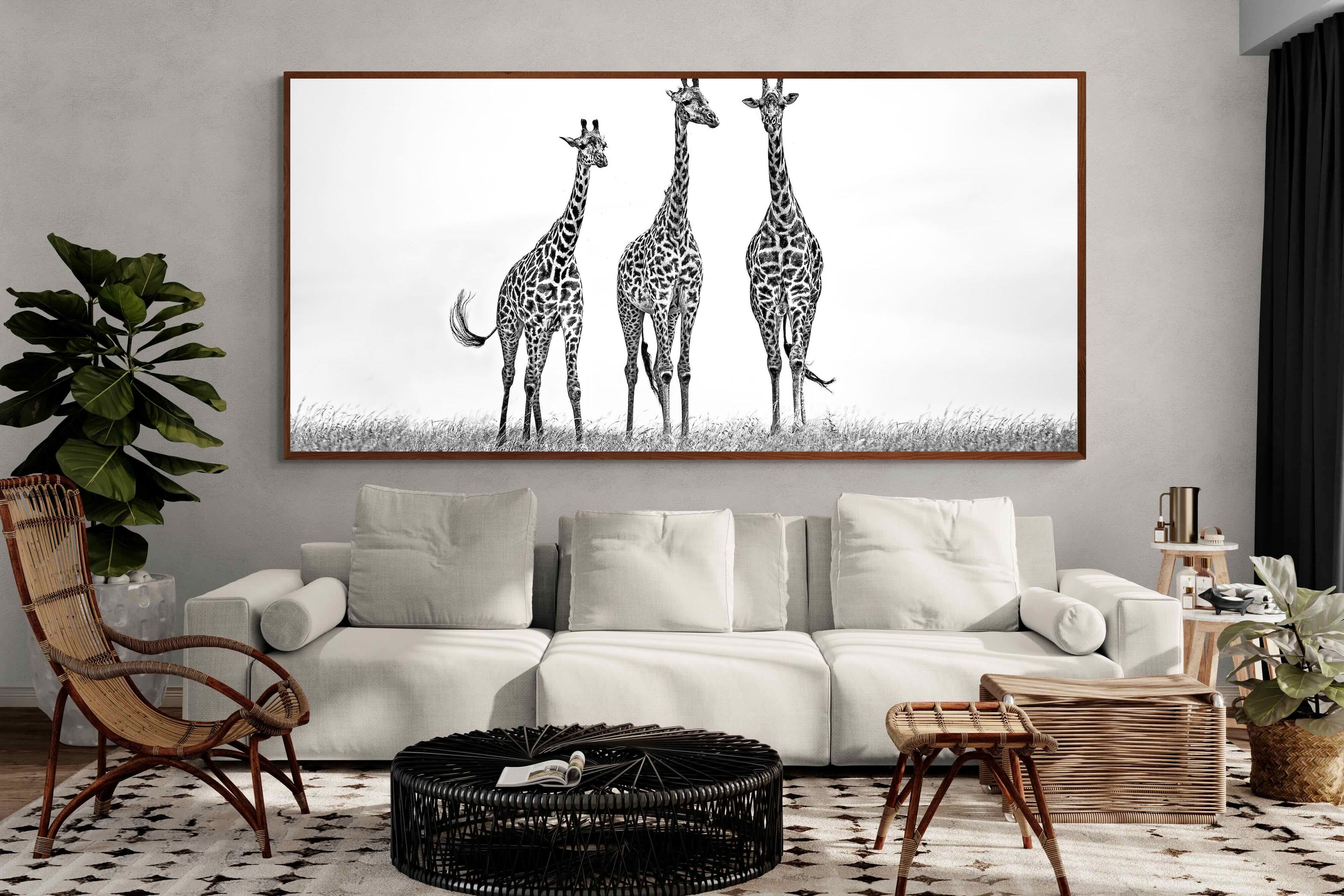 Pixalot ® Giraffe Sketch
