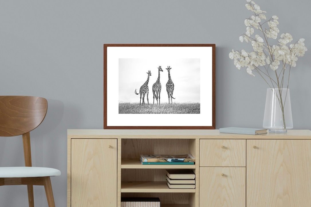 Pixalot ® Giraffe Sketch