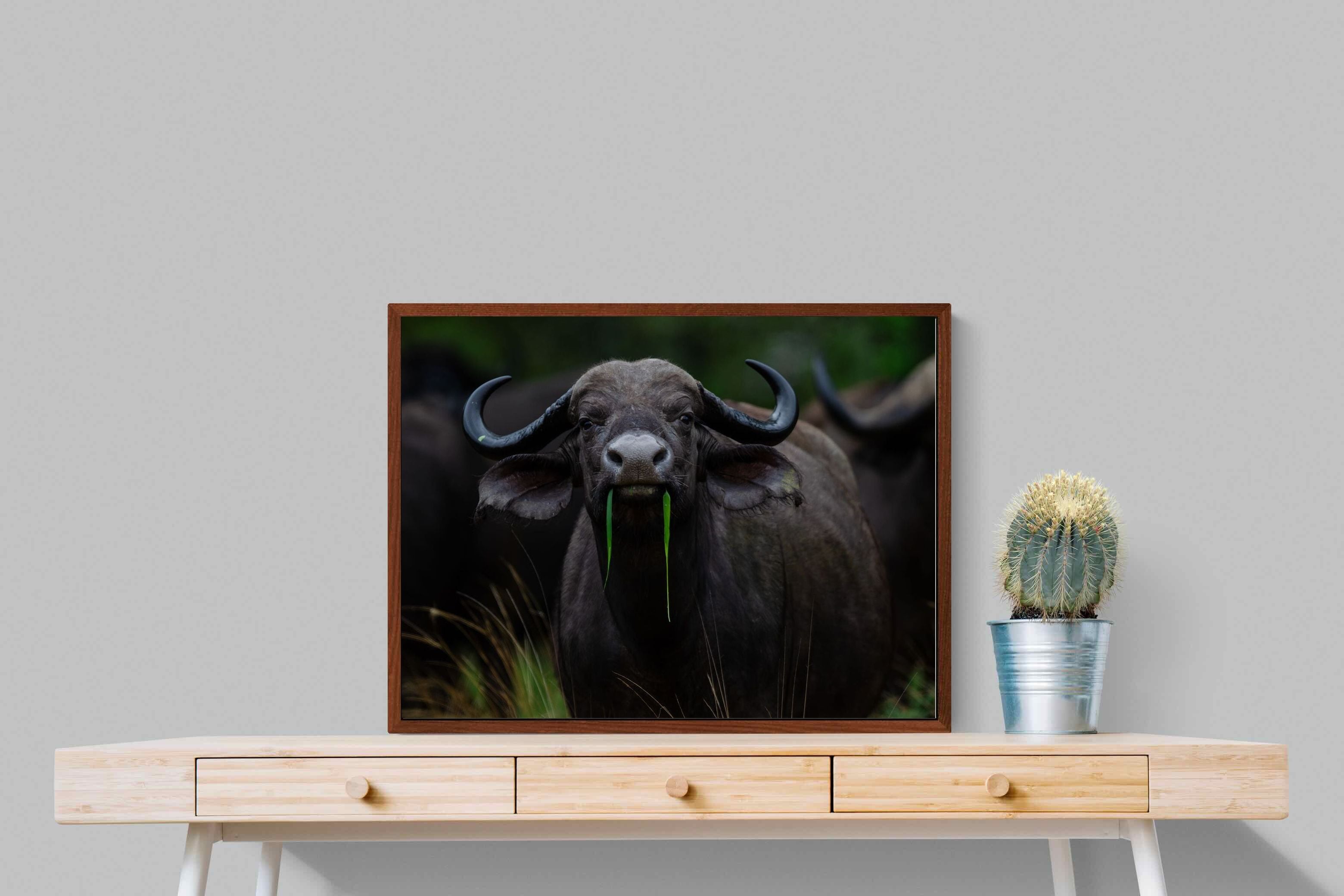 Pixalot Grass Whisperer