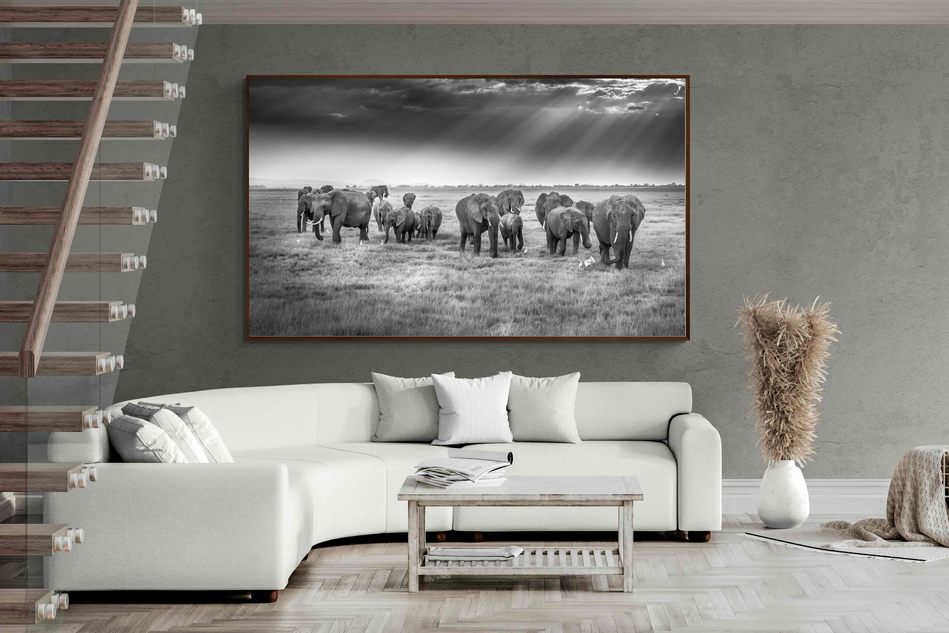 Pixalot ® Grazing Elephants