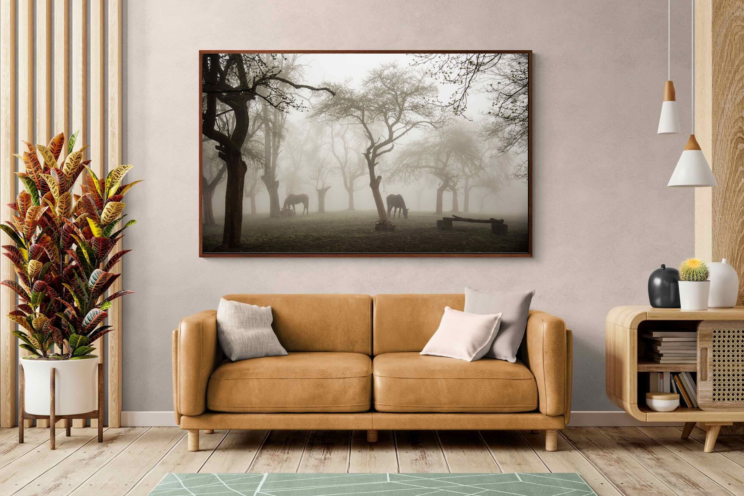 Pixalot ® Grazing in the Fog