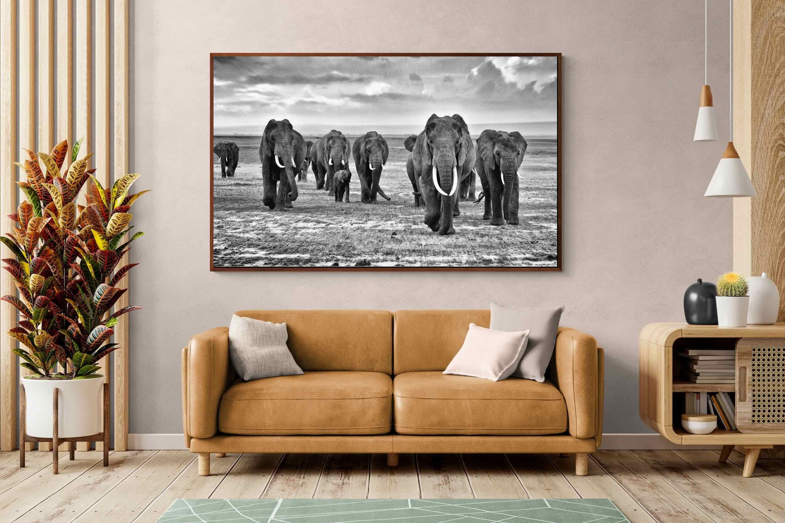 Pixalot ® Great Tuskers