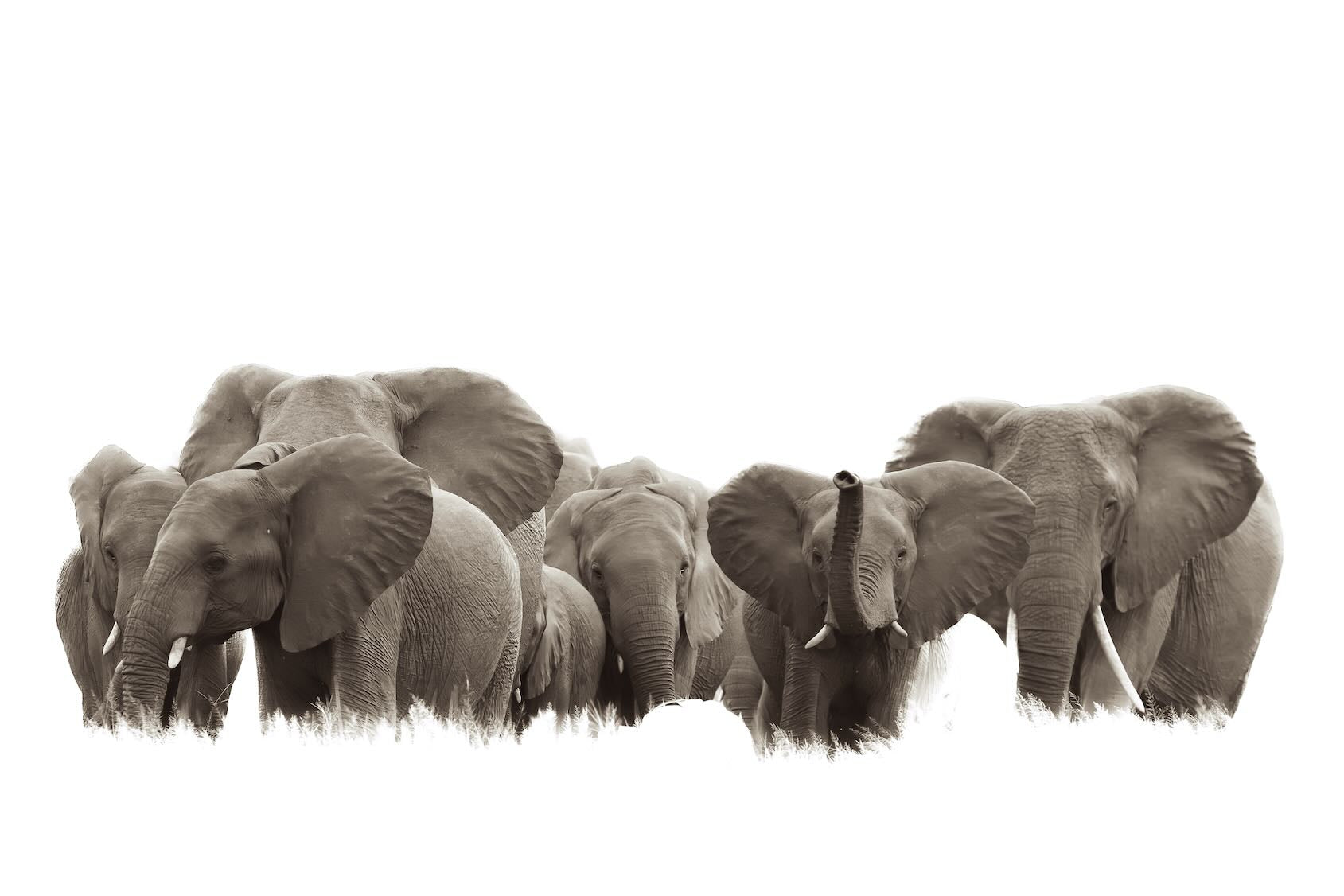 Guardians of the Plains