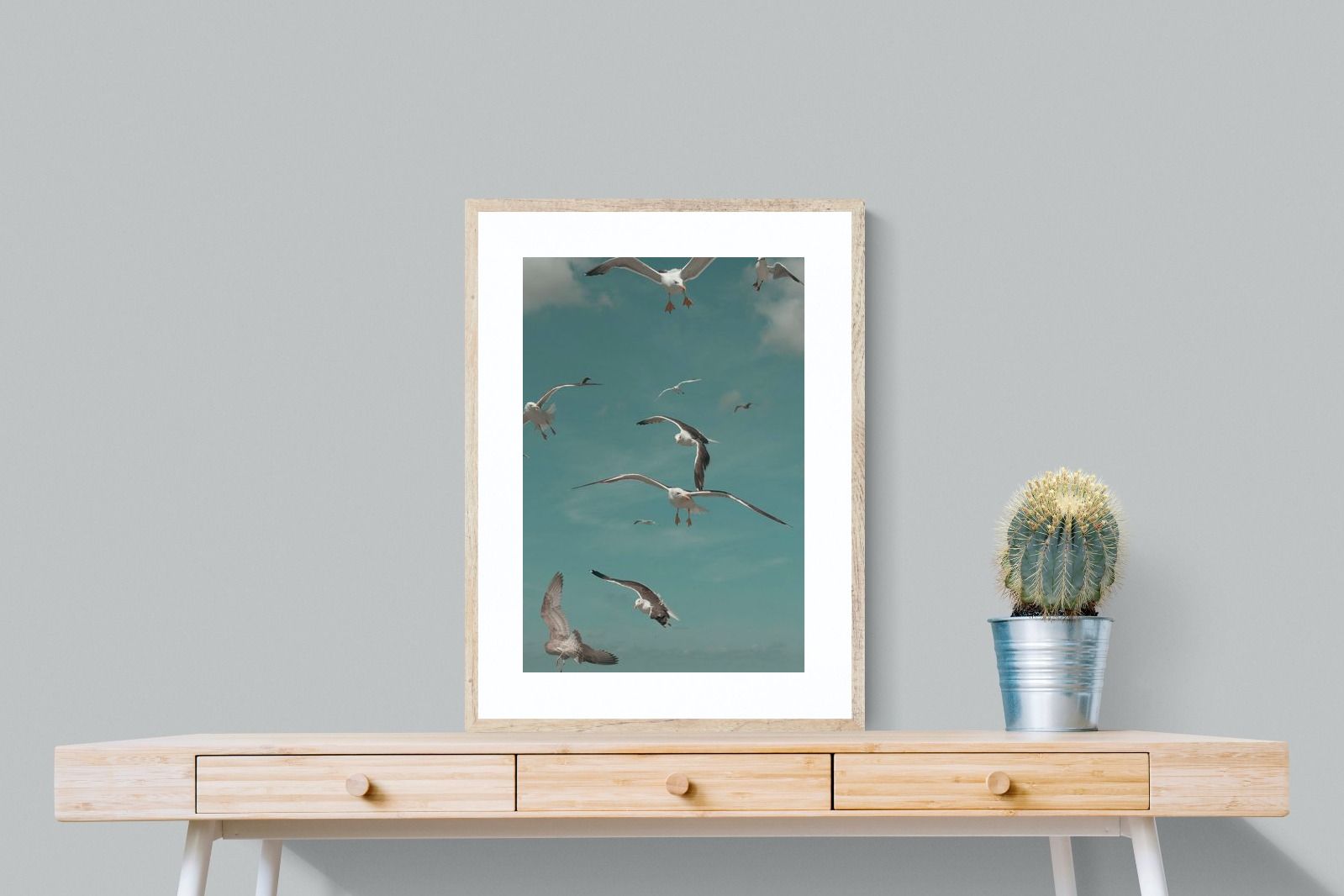 Pixalot ® Gulls in Blue