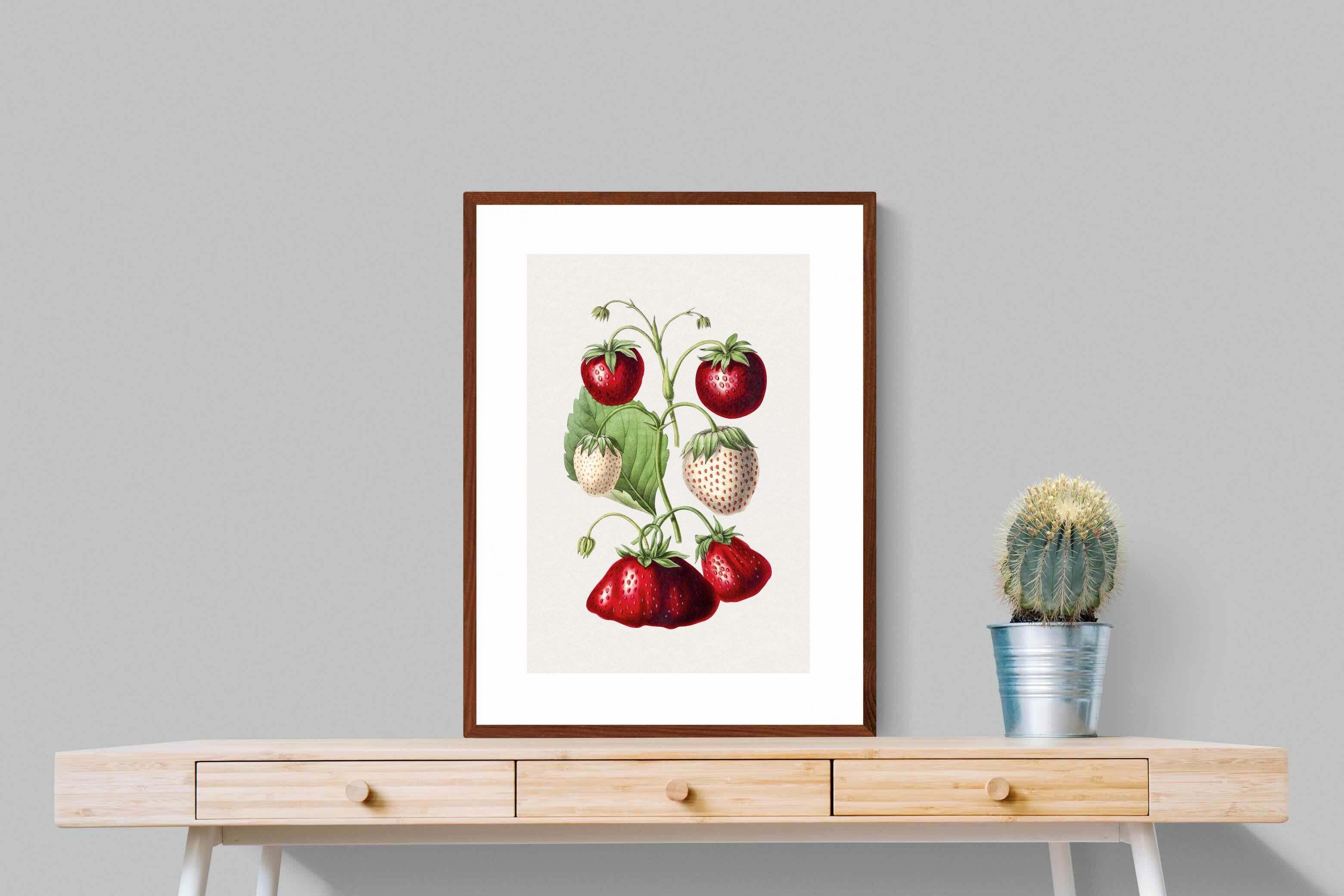 Pixalot Hand Drawn Strawberry