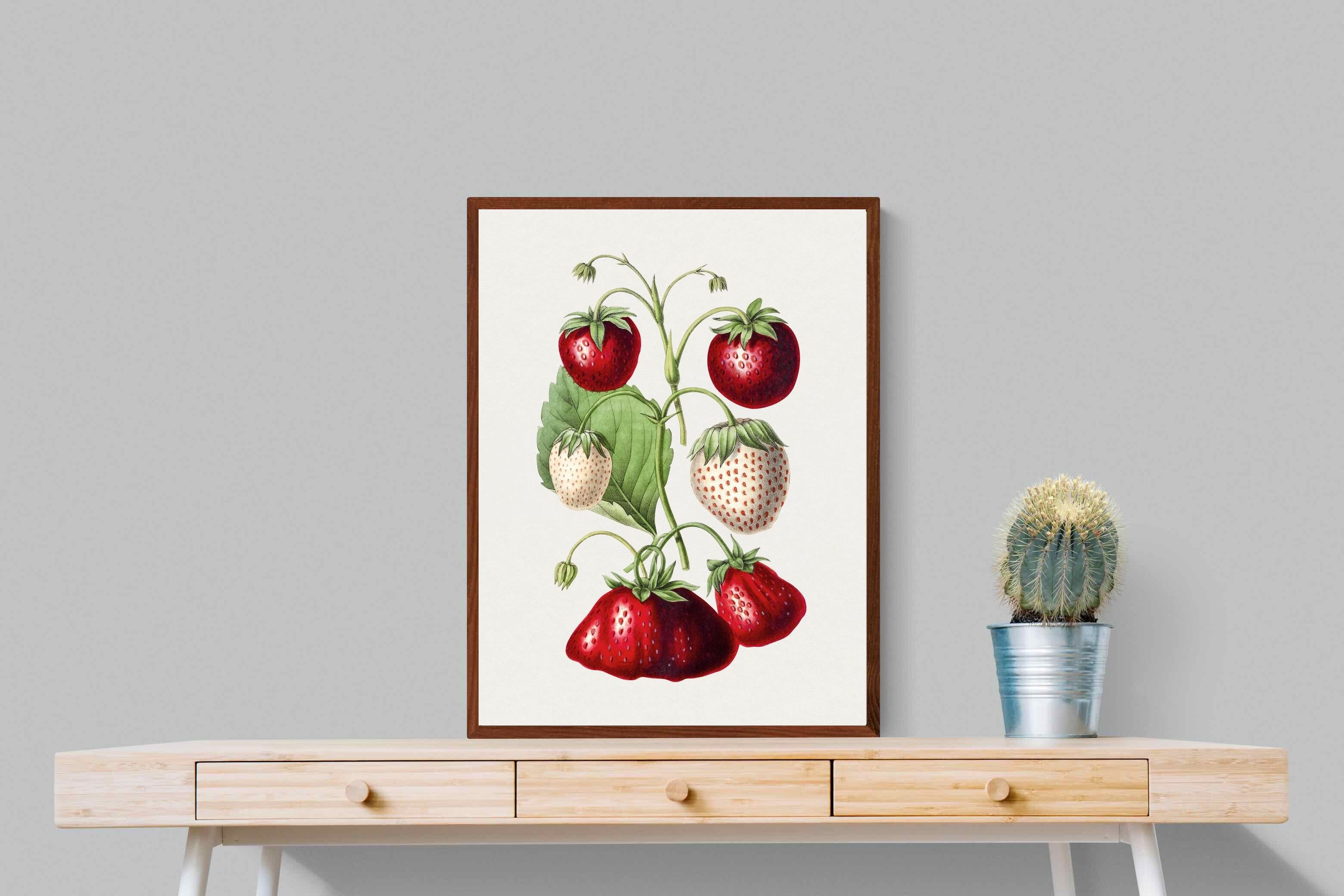 Pixalot Hand Drawn Strawberry