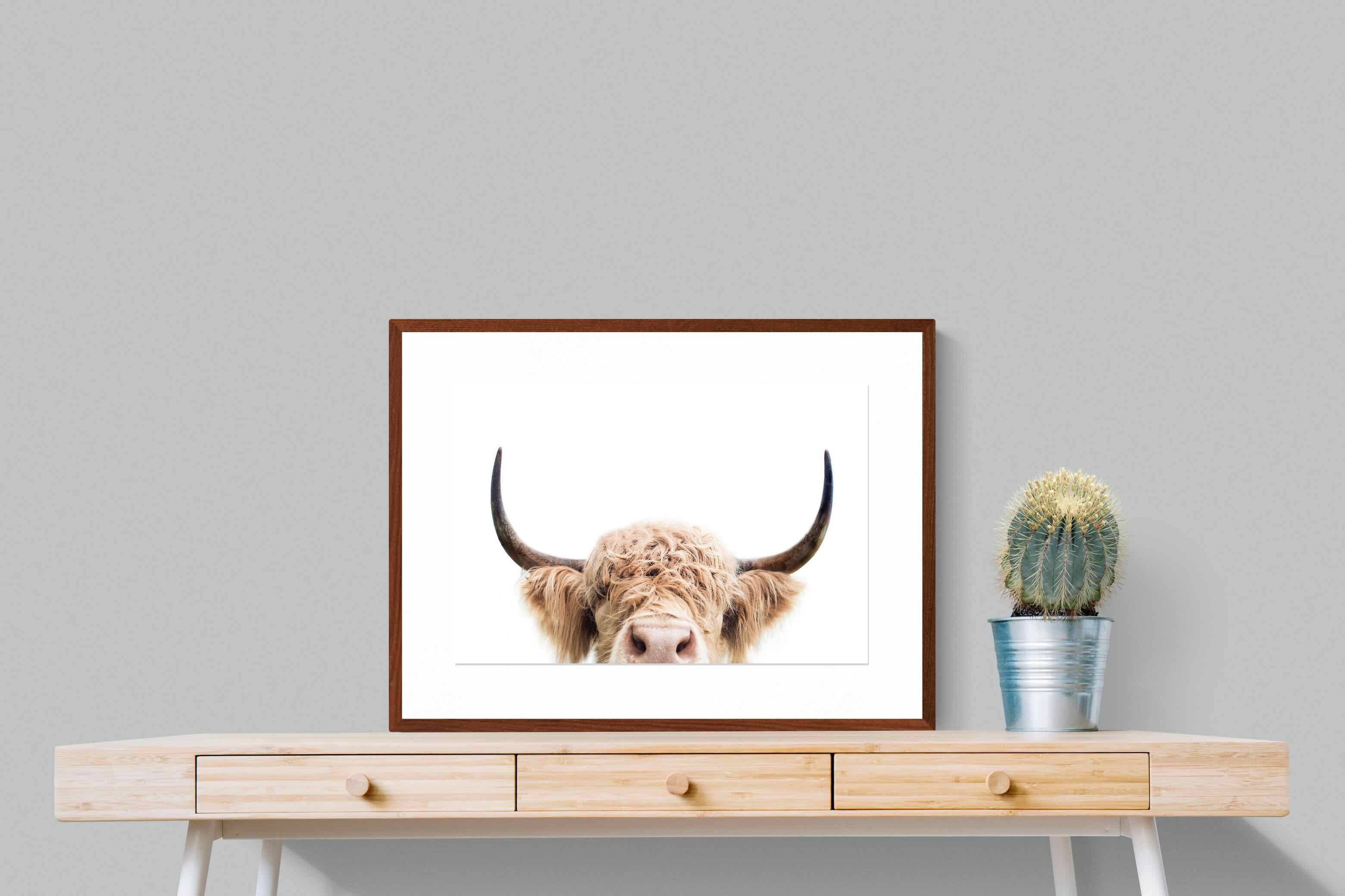 Pixalot Highland Peekaboo