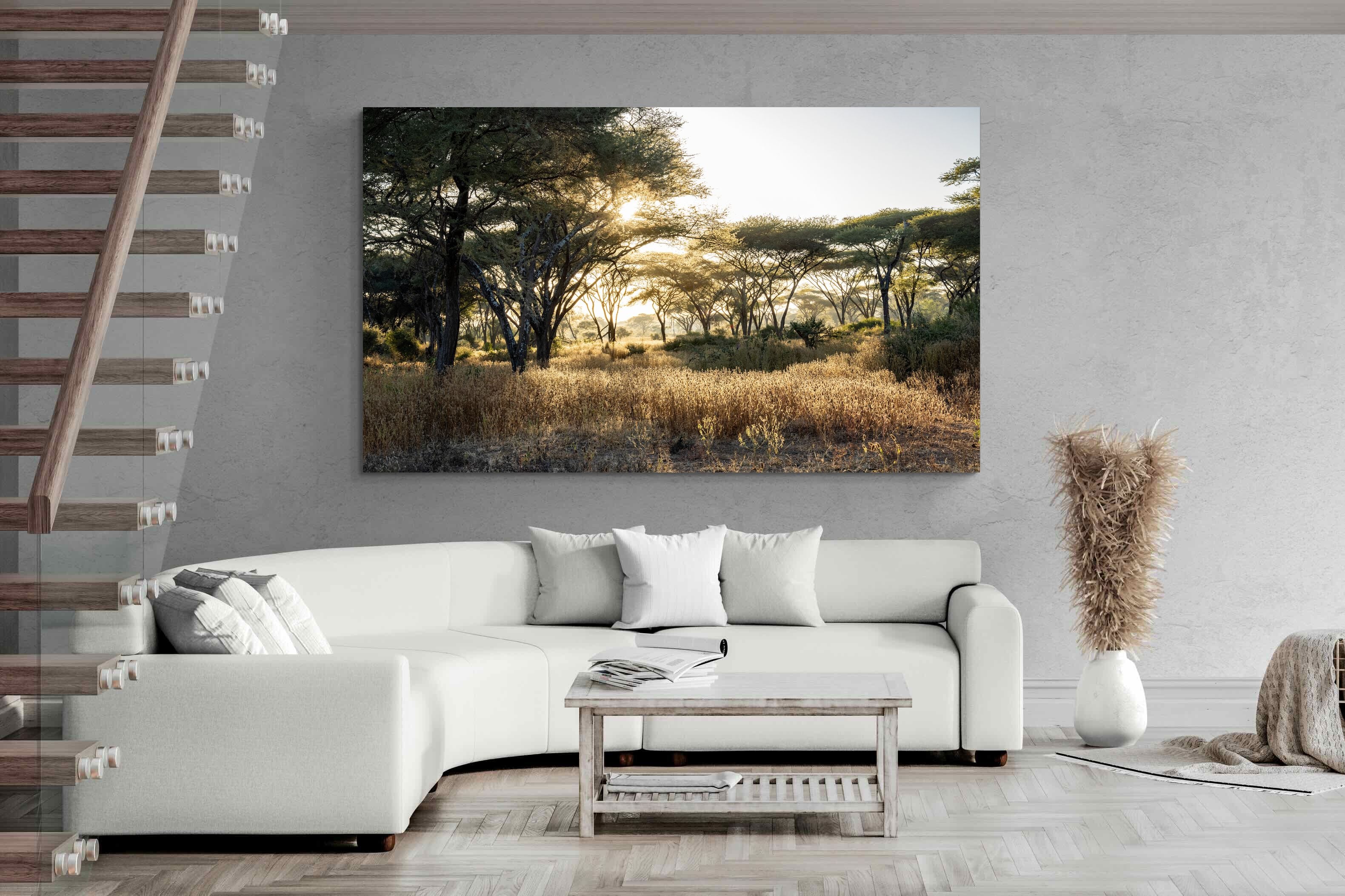 Pixalot Hippo Valley