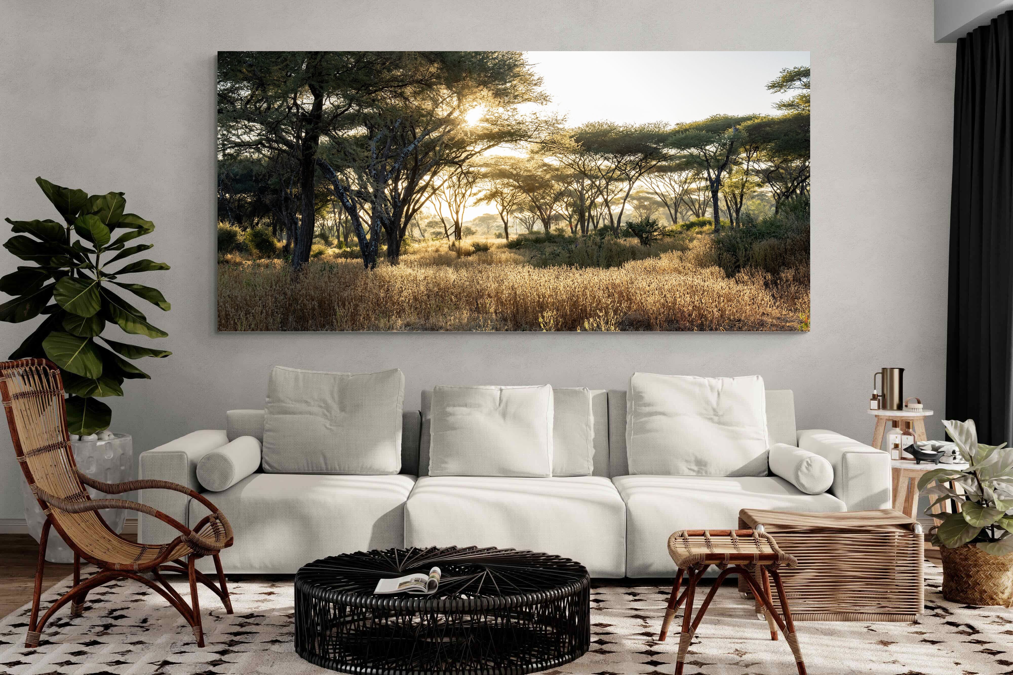 Pixalot Hippo Valley