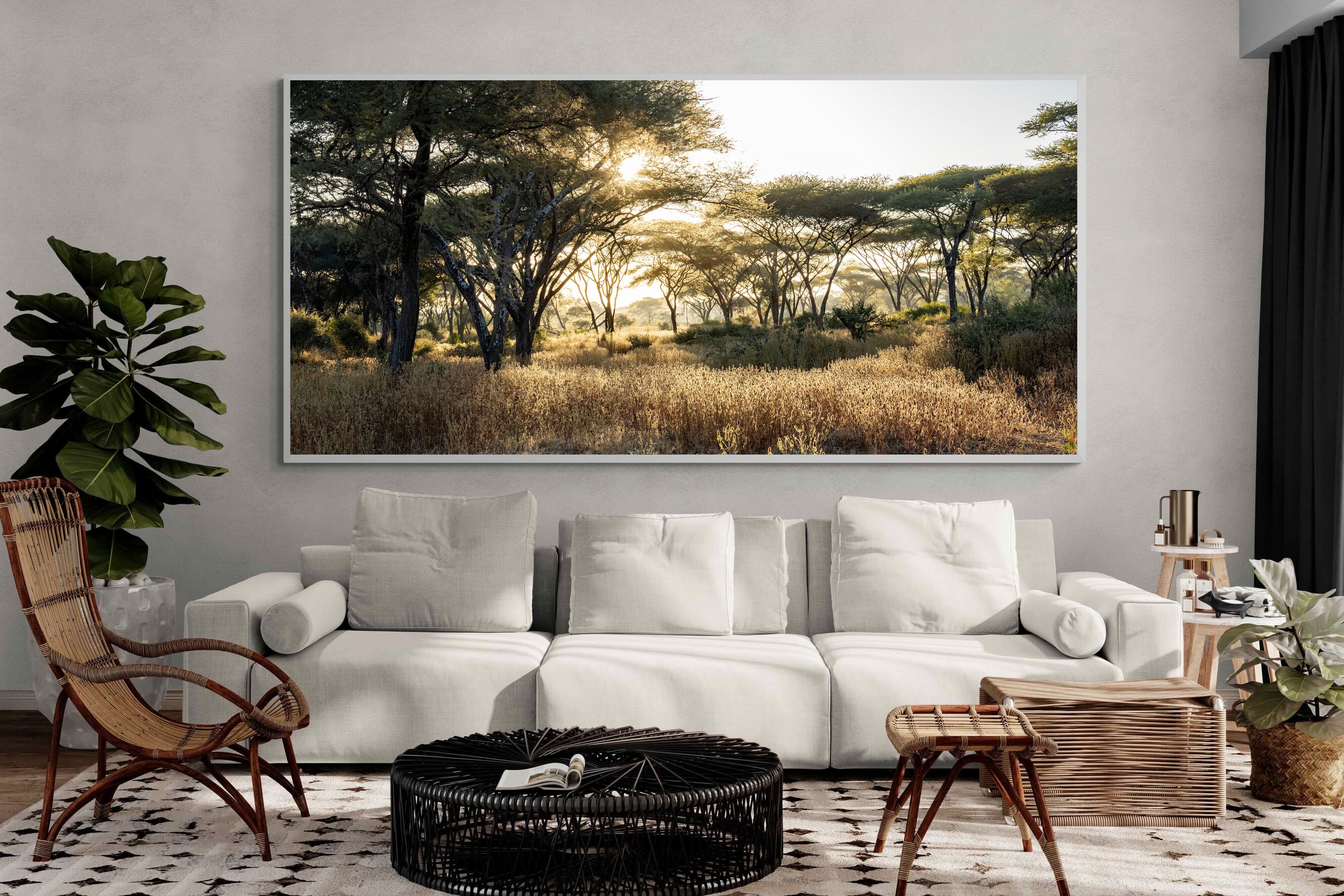 Pixalot Hippo Valley