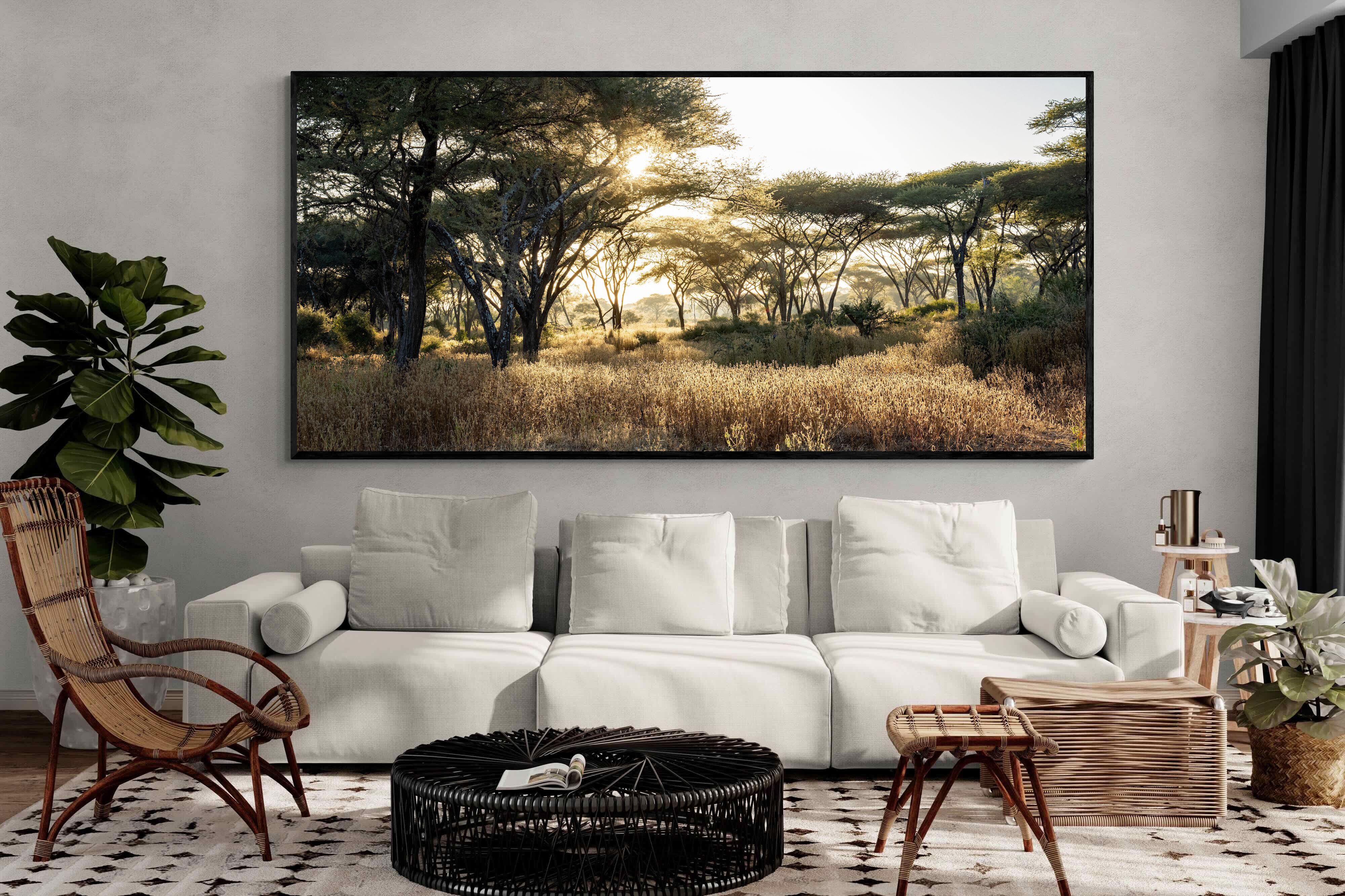 Pixalot Hippo Valley