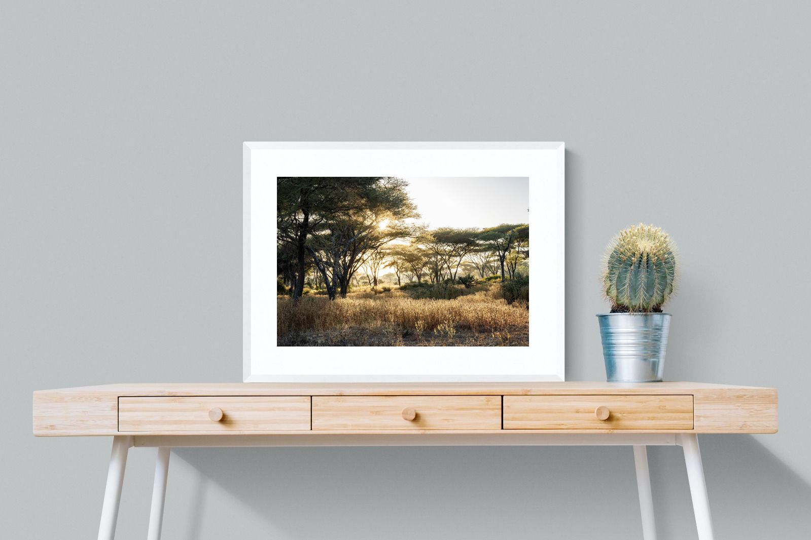 Pixalot Hippo Valley