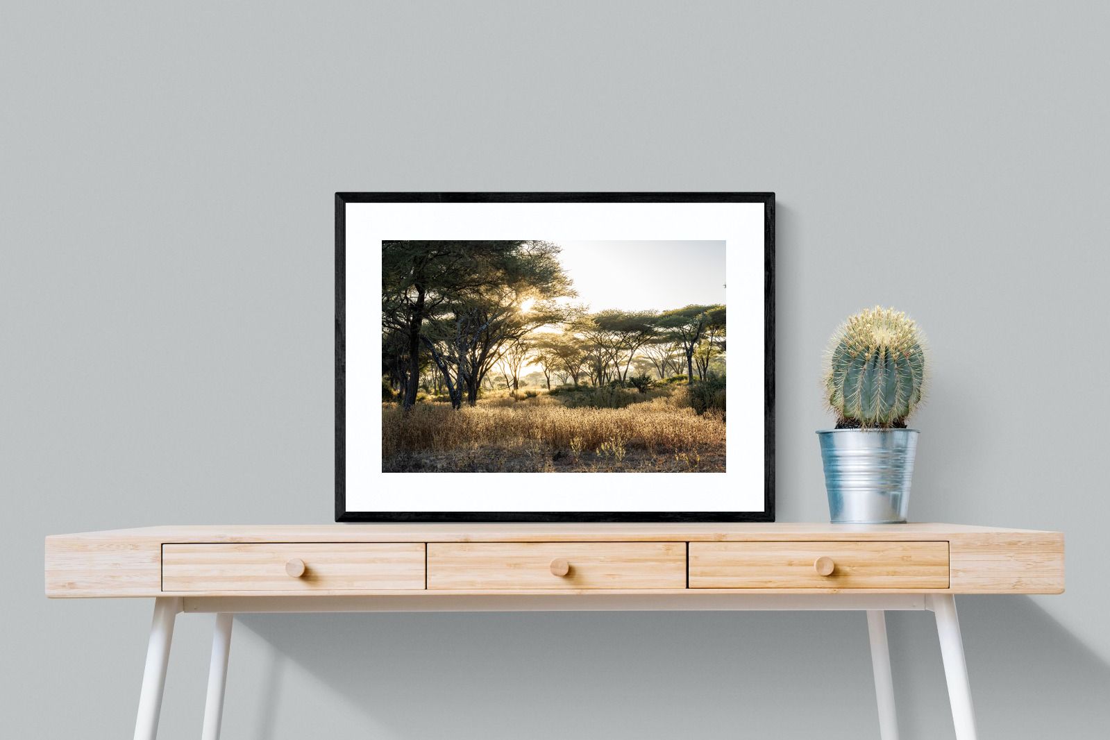 Pixalot Hippo Valley