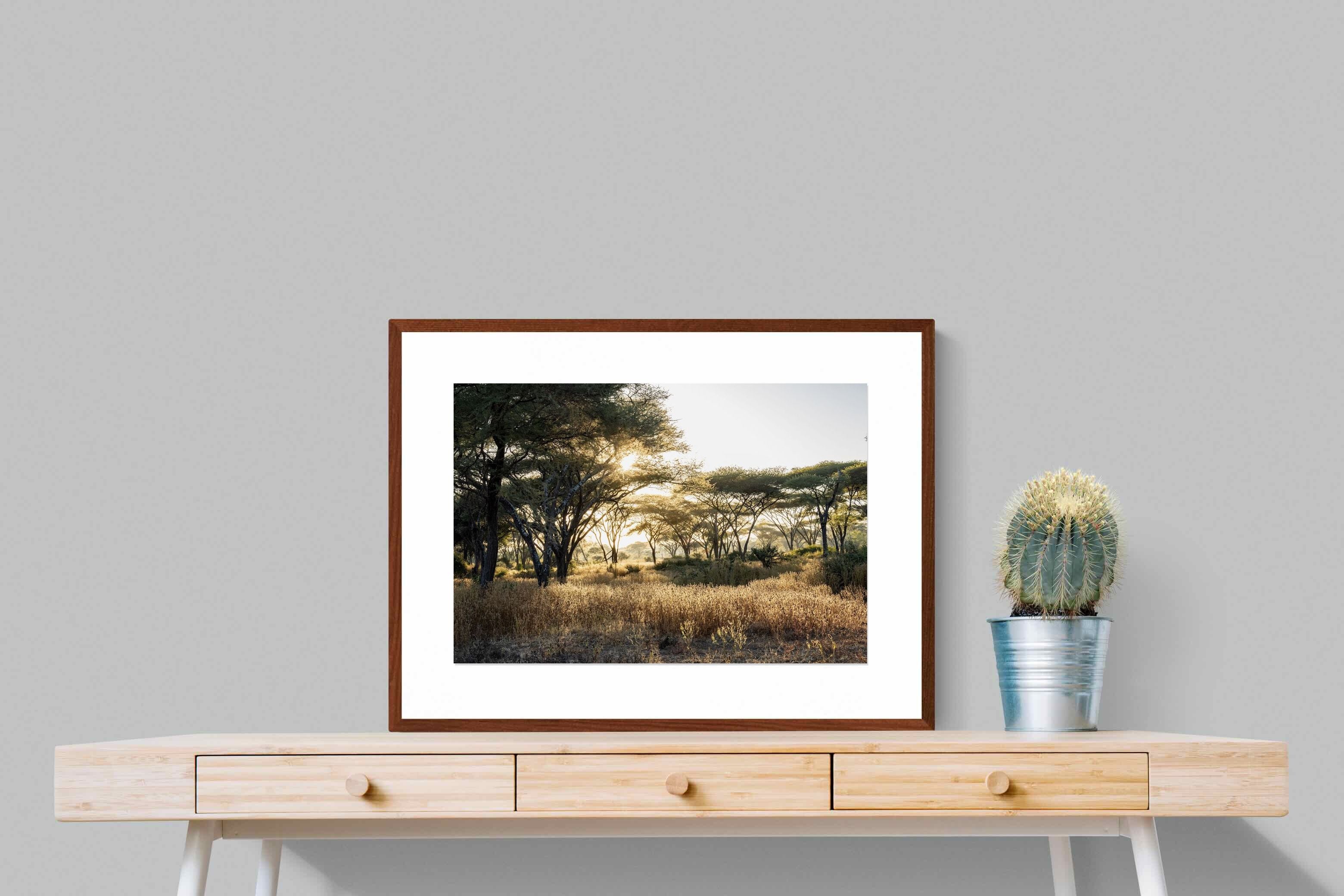 Pixalot Hippo Valley