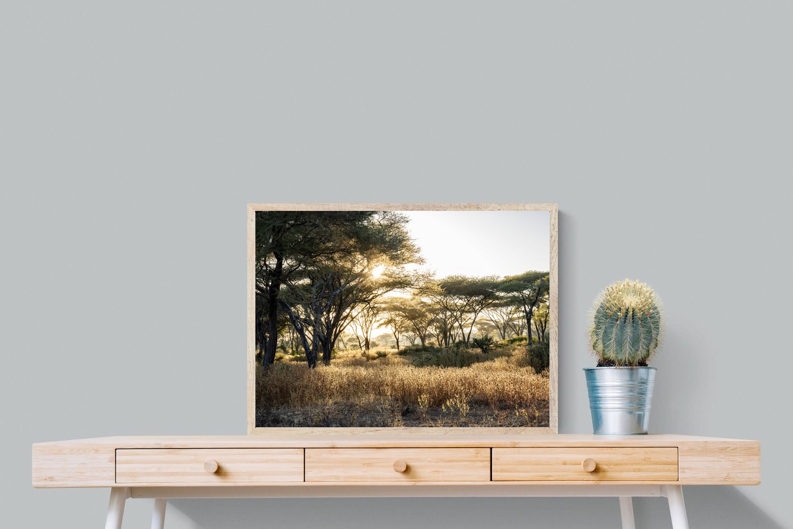 Pixalot Hippo Valley